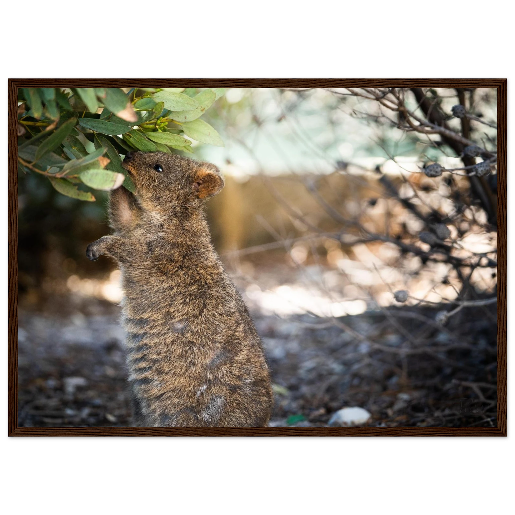 255deae3-9254-406e-a073-77c3c20c0186