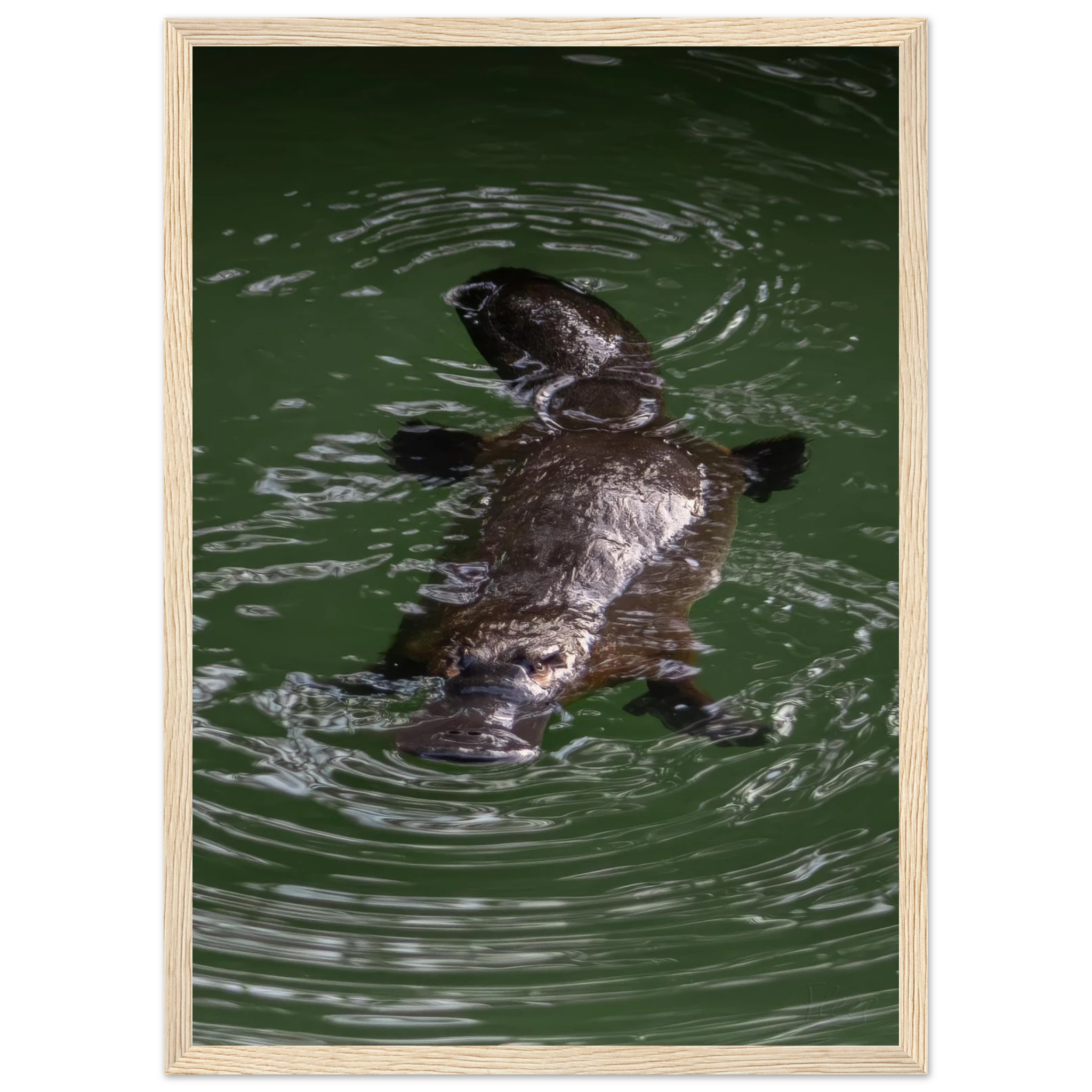 25897457-ed28-4c71-bb6b-f769675d92c8