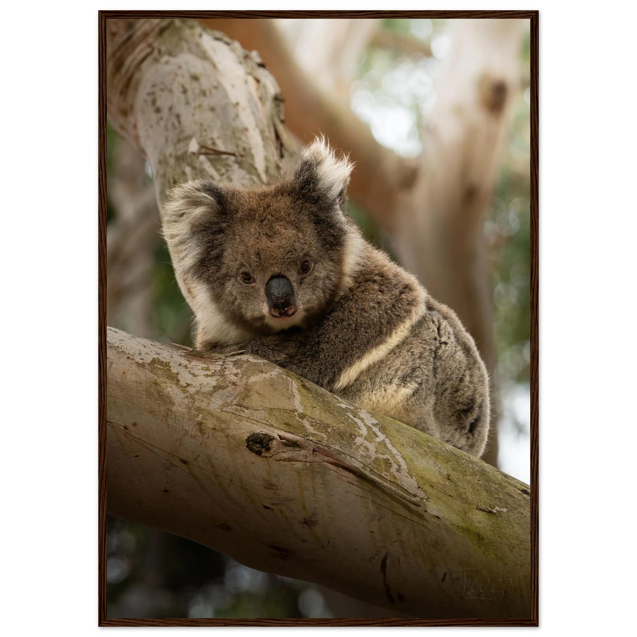 25928a40-6f87-4be6-a92c-77e9b16ddb59