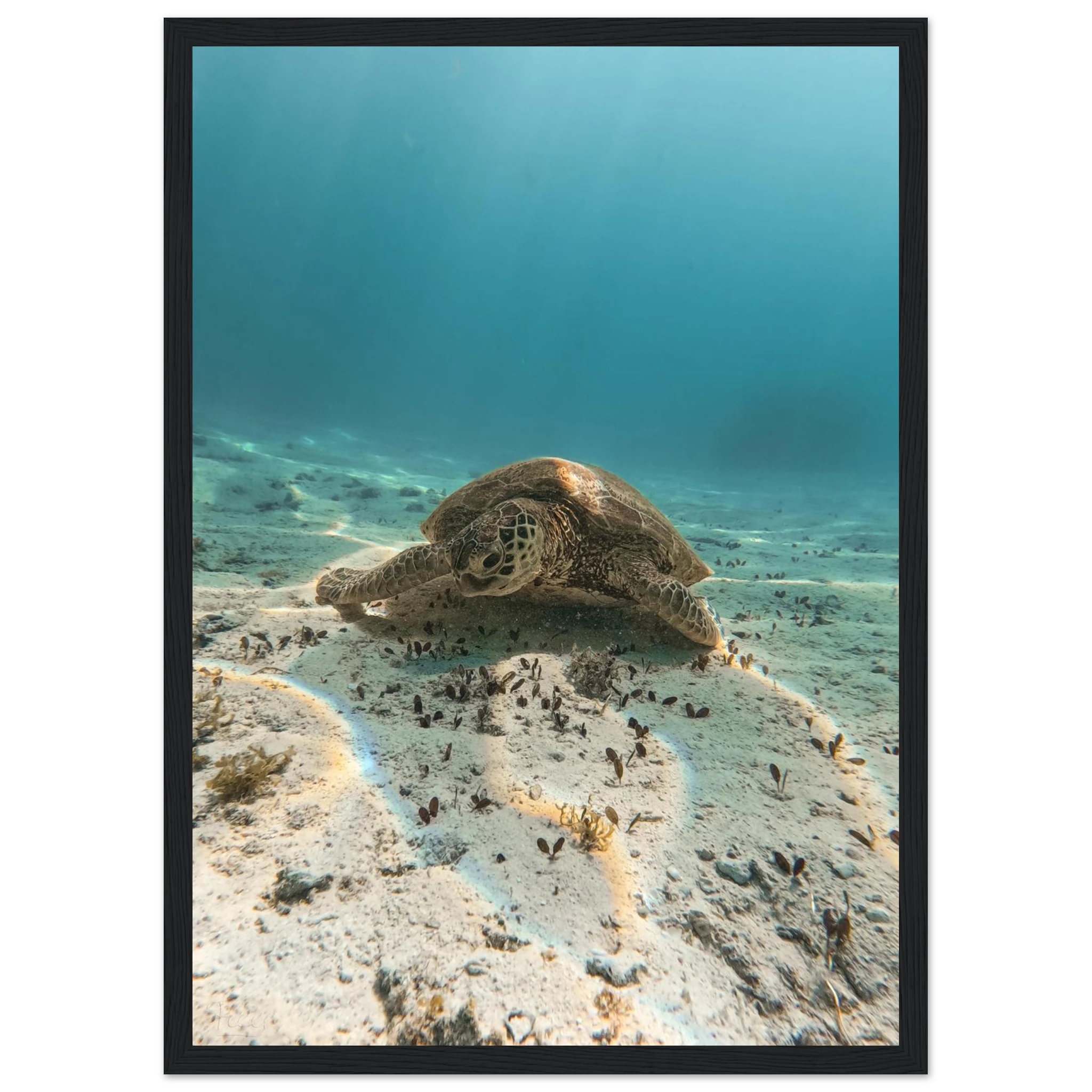 259c3f5d-95bd-44f8-8830-f7a0df62865e