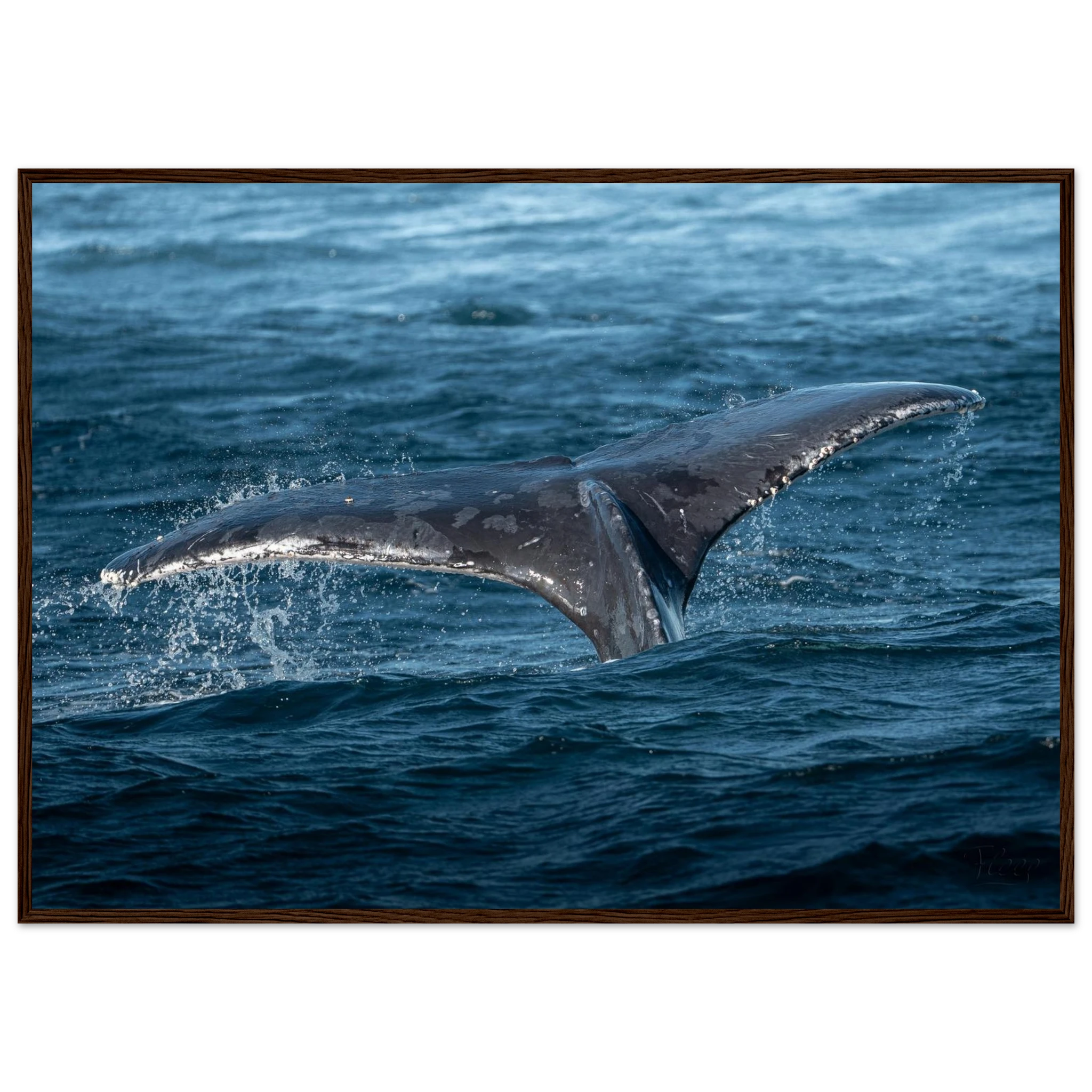 25c5d934-b04f-44ad-aa38-0f77574880ae