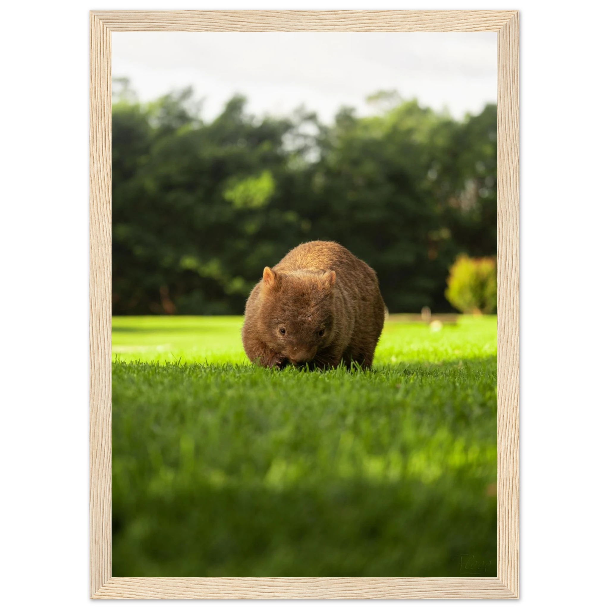 26d91785-b245-477b-80b7-23fa99279e4a