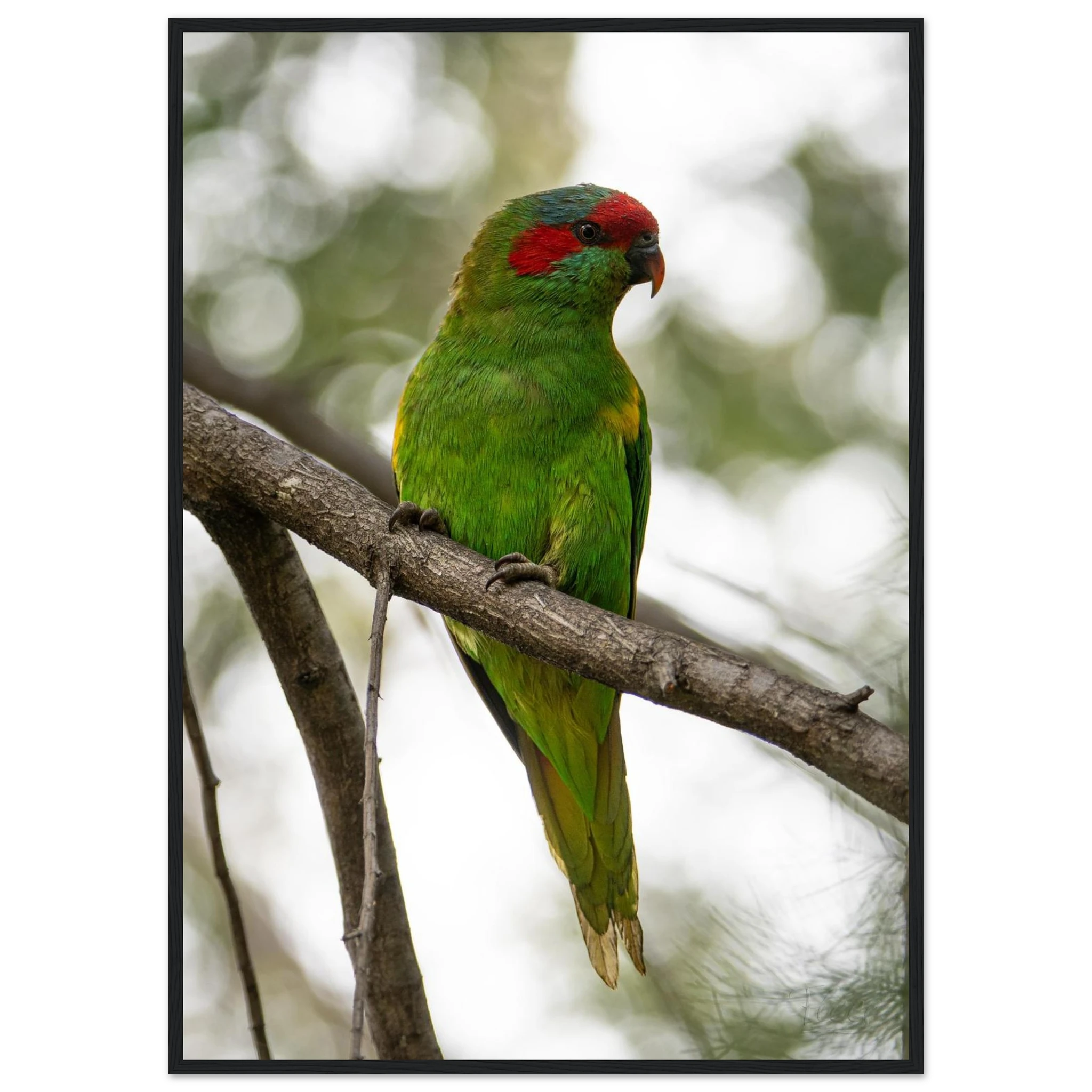 27178d8a-ec09-4637-87e7-1bea5066d88e