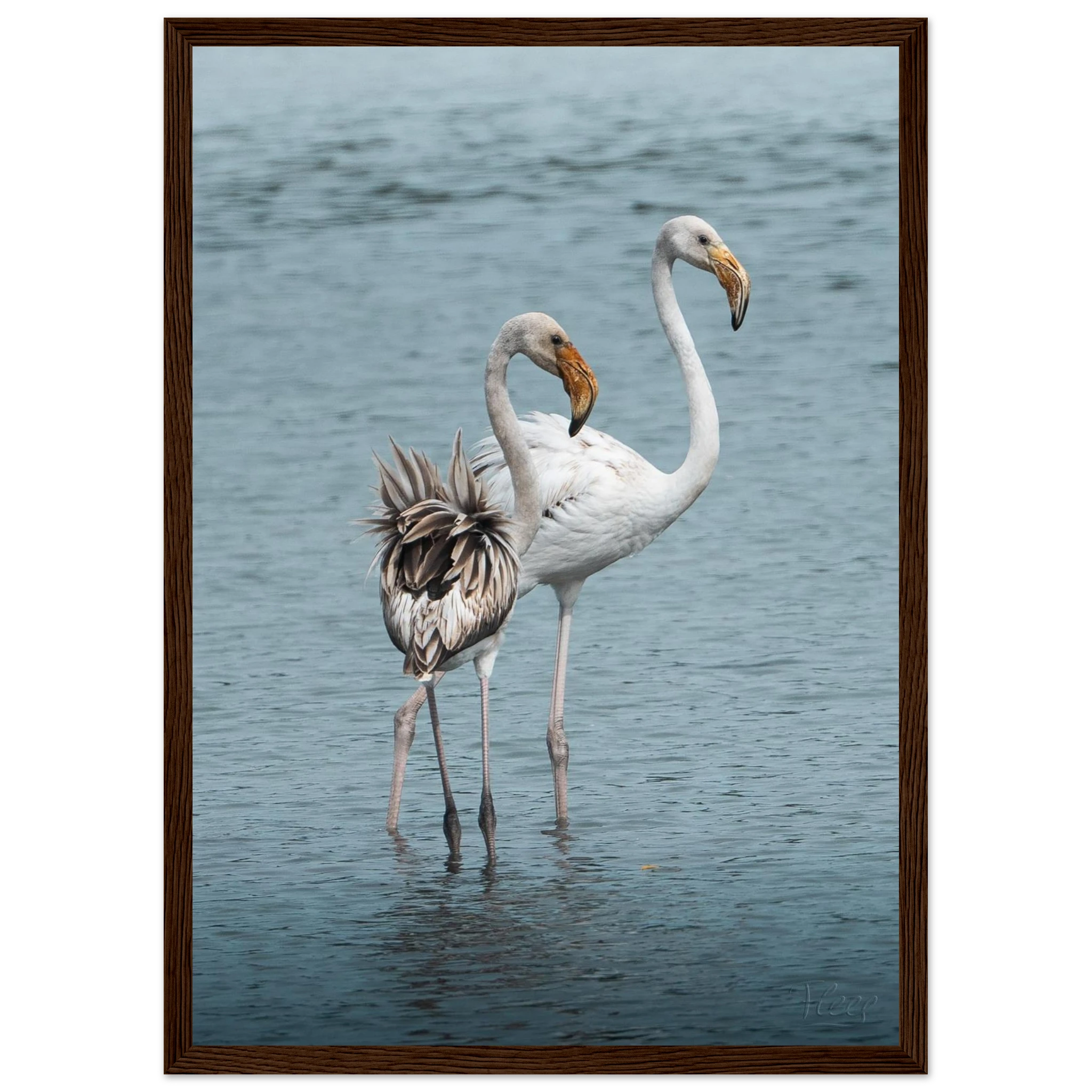 27fcae91-a1fc-4d53-a41f-85b9c38676e2