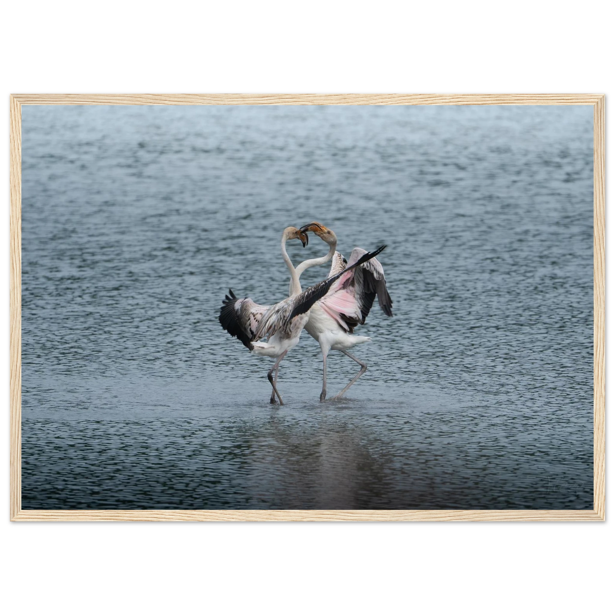 286bf579-1b6d-4cd0-b52d-c1df11591bfe