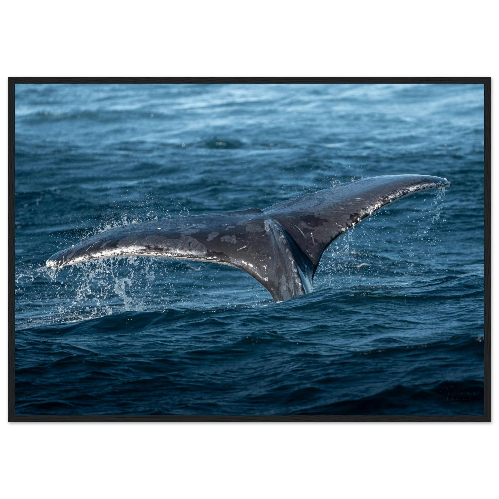 28974ea4-f13d-48bc-8745-e3200cccc068