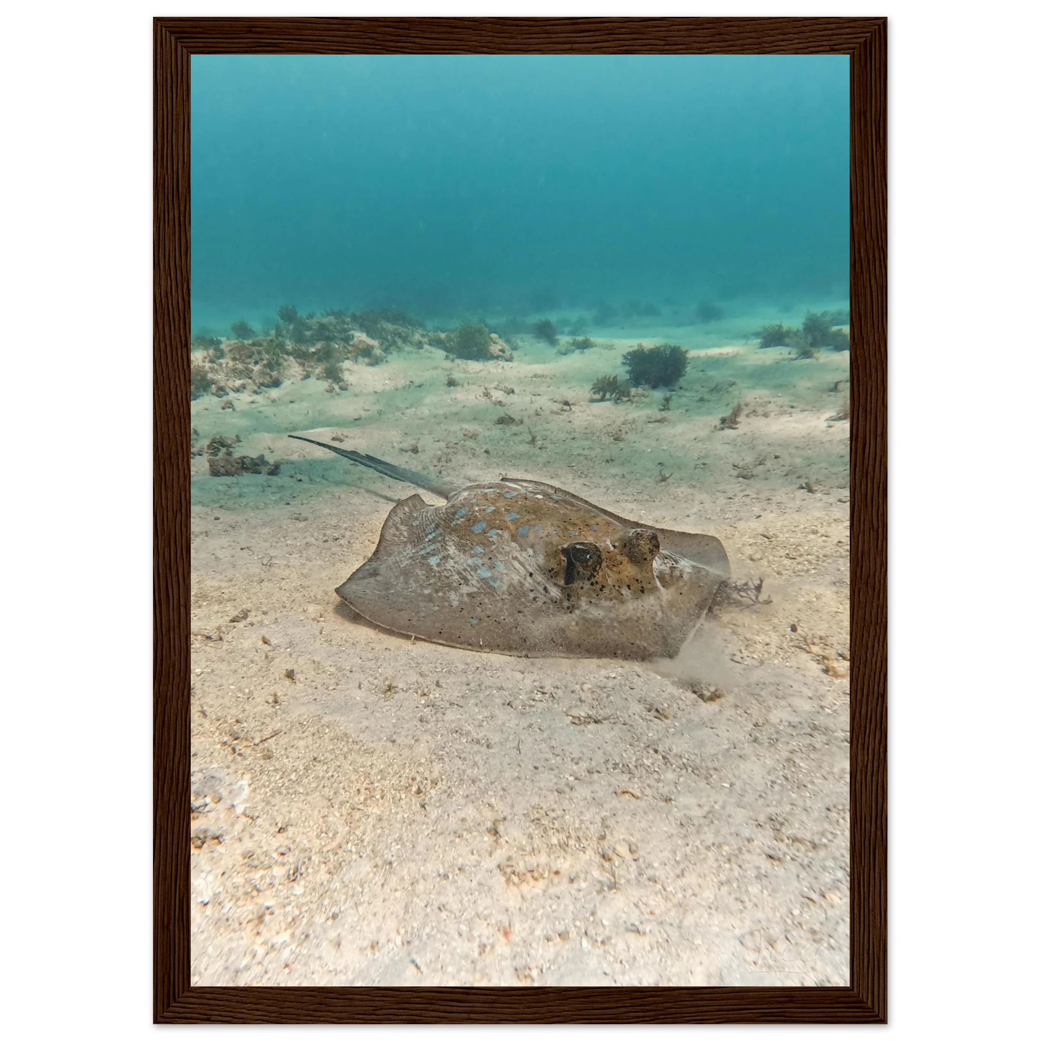 28dae79d-b13f-4fce-8182-91023b48d27e