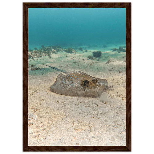 28dae79d-b13f-4fce-8182-91023b48d27e