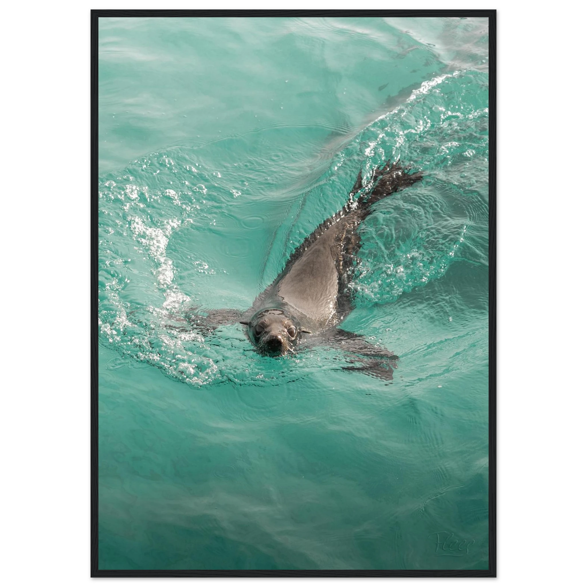 2902cc94-dd6c-4d9f-9b84-5e78740f10fe