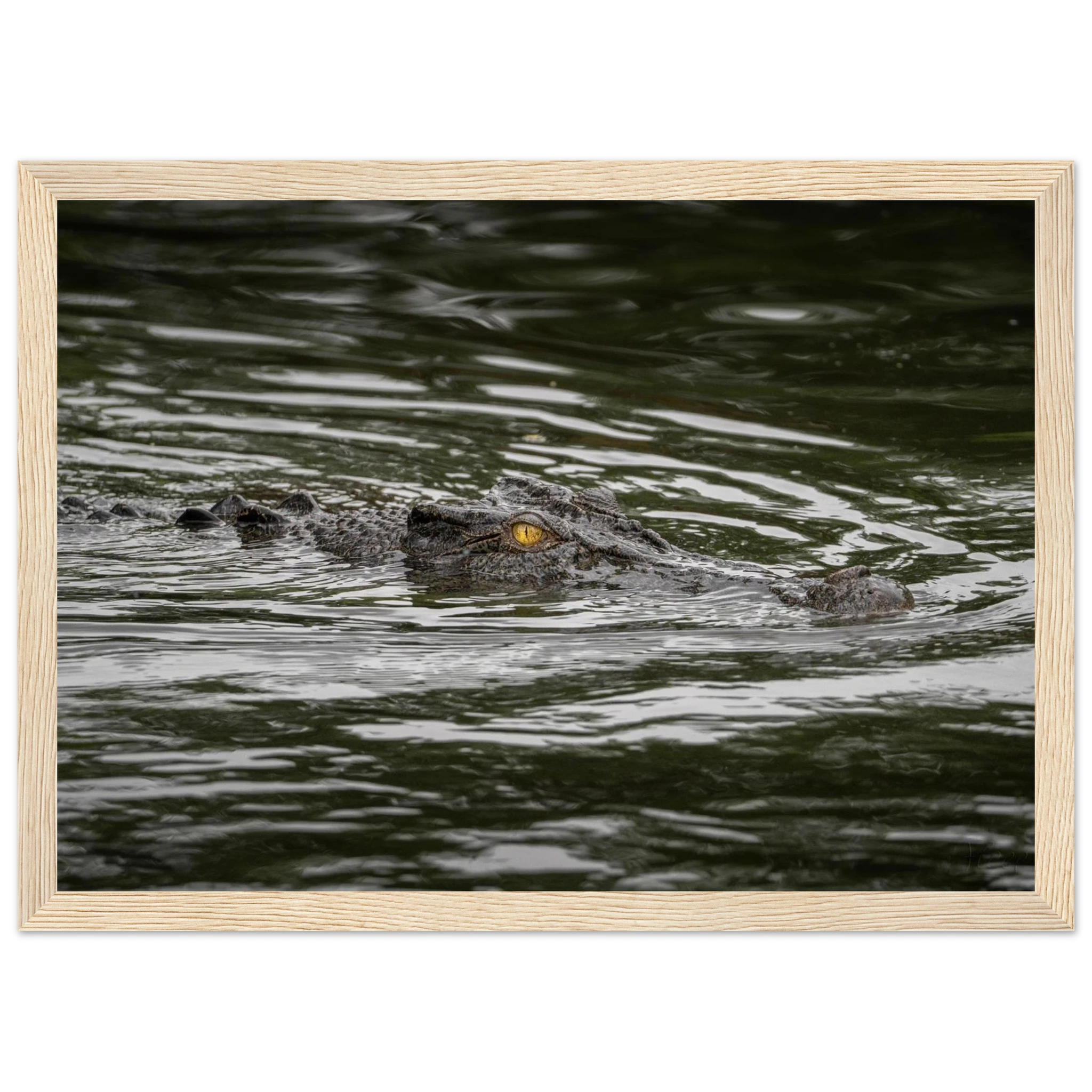 294a91a5-fc80-498a-8b78-e0384a4e2e6d