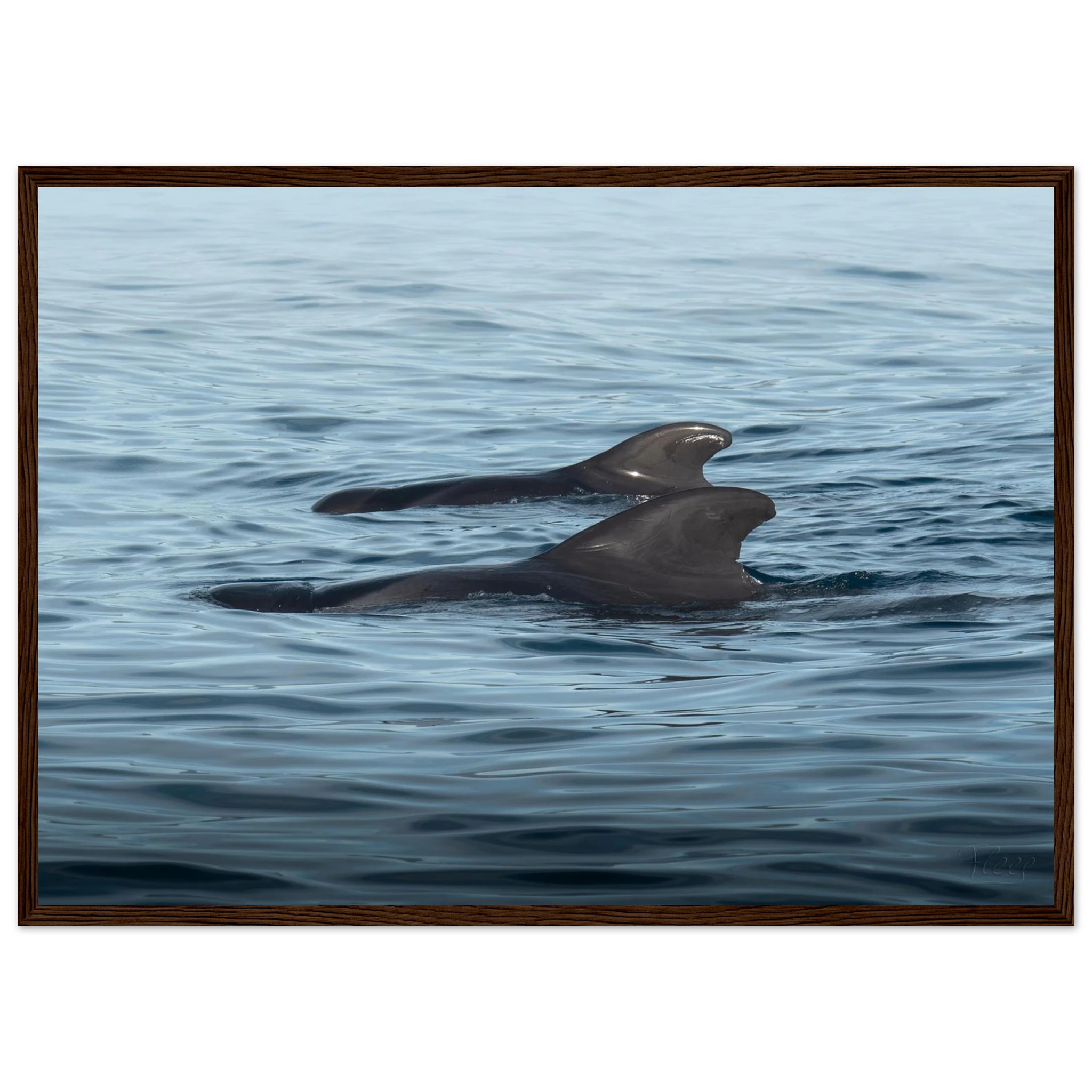 295ee9a4-941a-4ae9-9f81-b7ef7bcc3c77