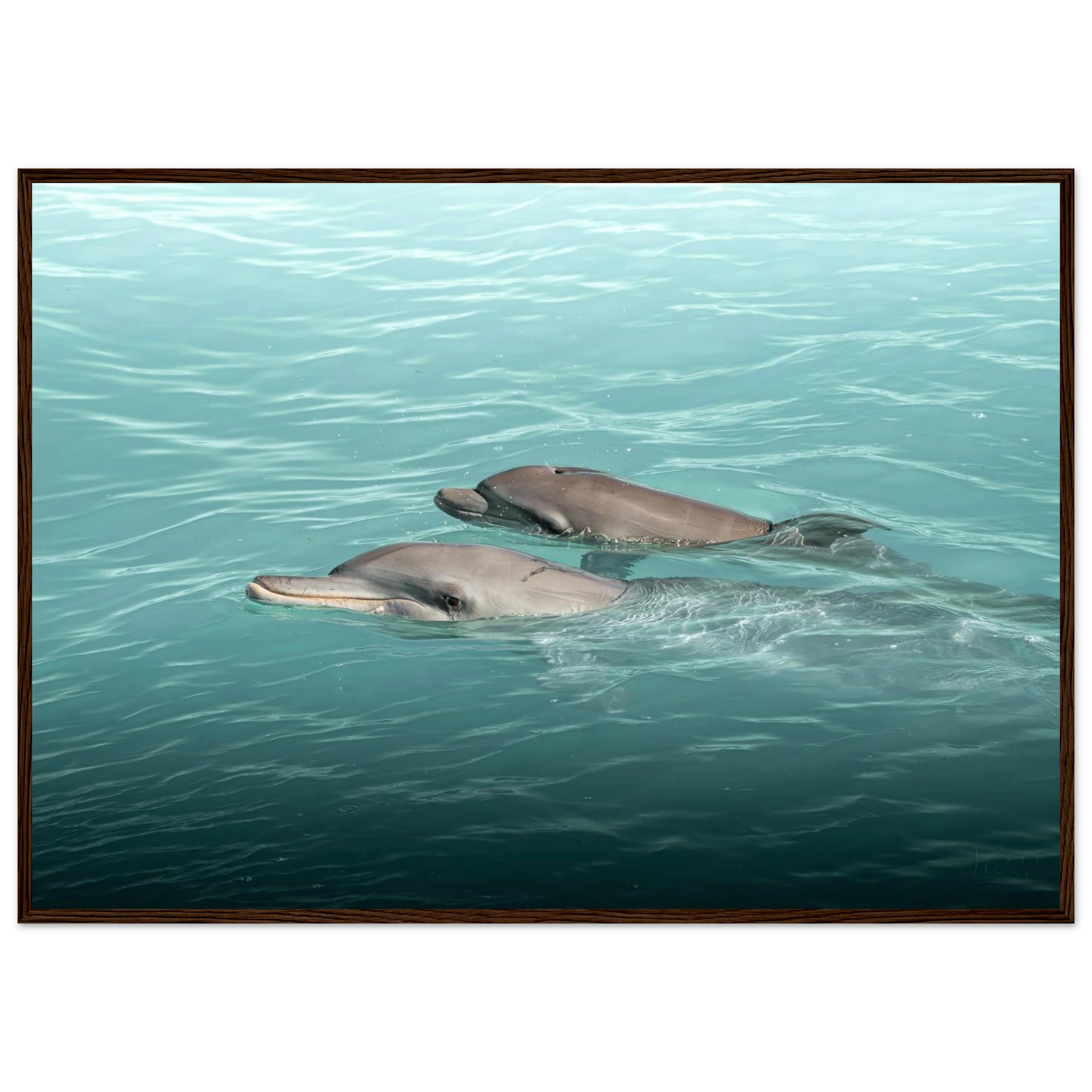 297cb3e1-a914-44c3-8396-16305115d11b