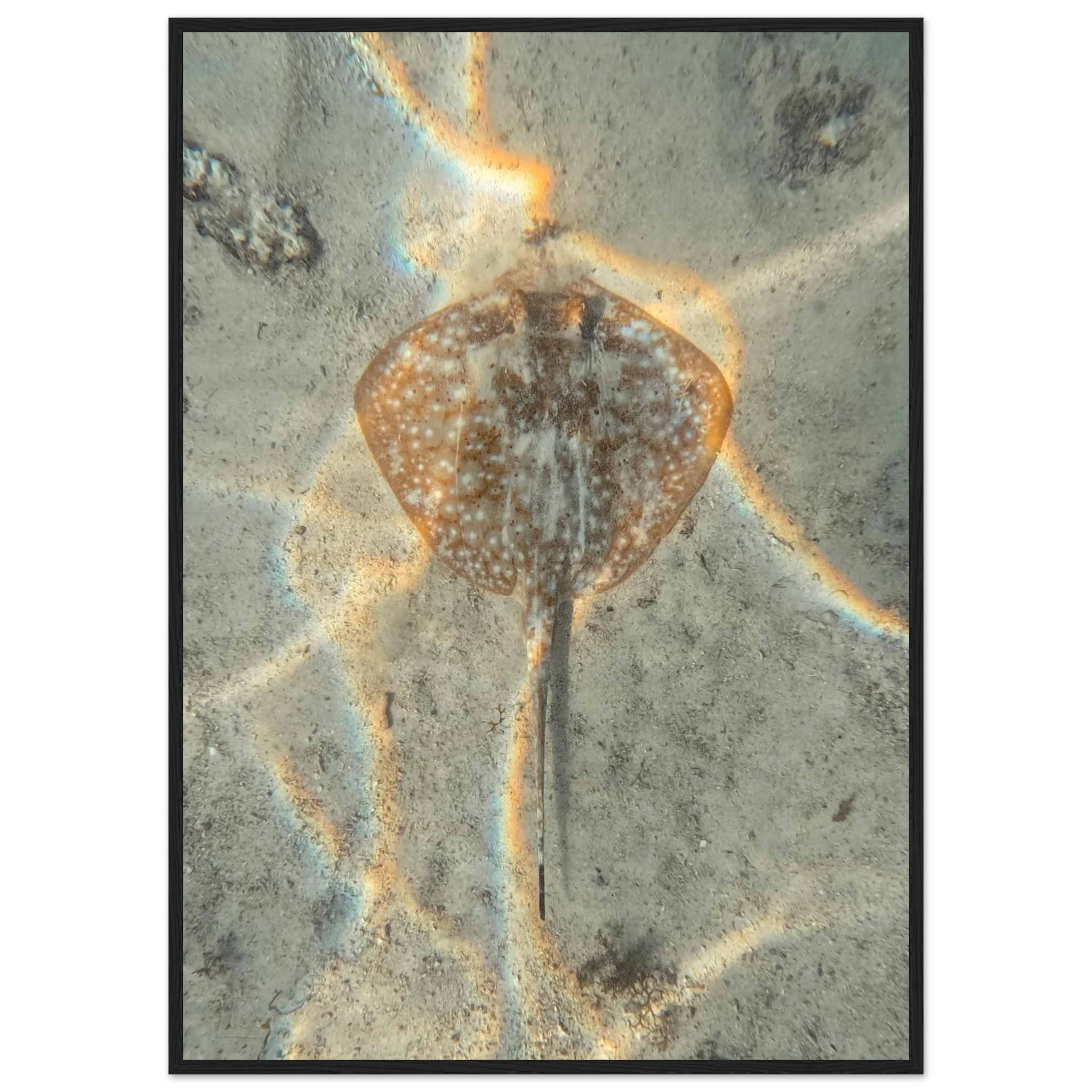 29c03023-cad9-4266-b445-aea373f39c3e