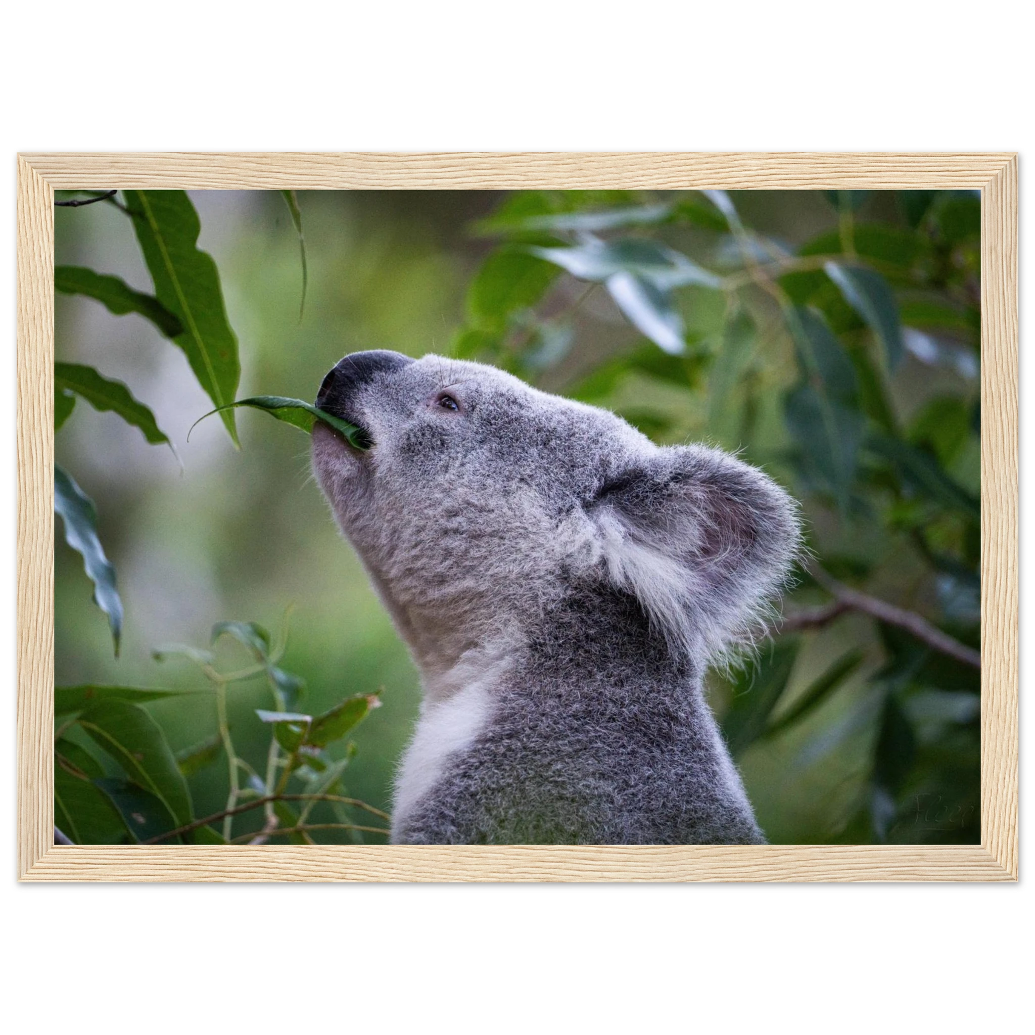 29eda886-c99f-450c-8950-21772cdb761d