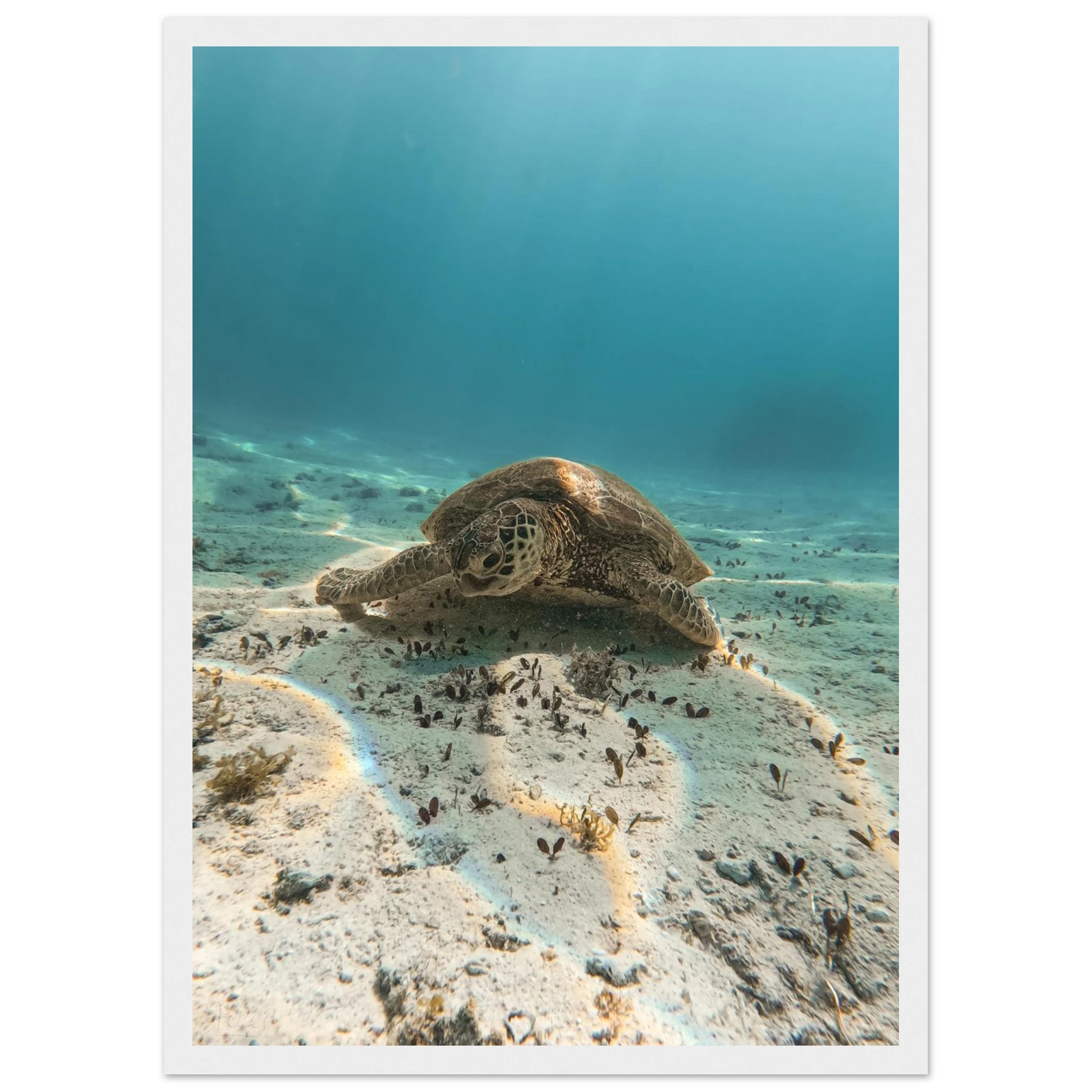 2b7abdbc-5aef-489e-aa4f-49e44975883e