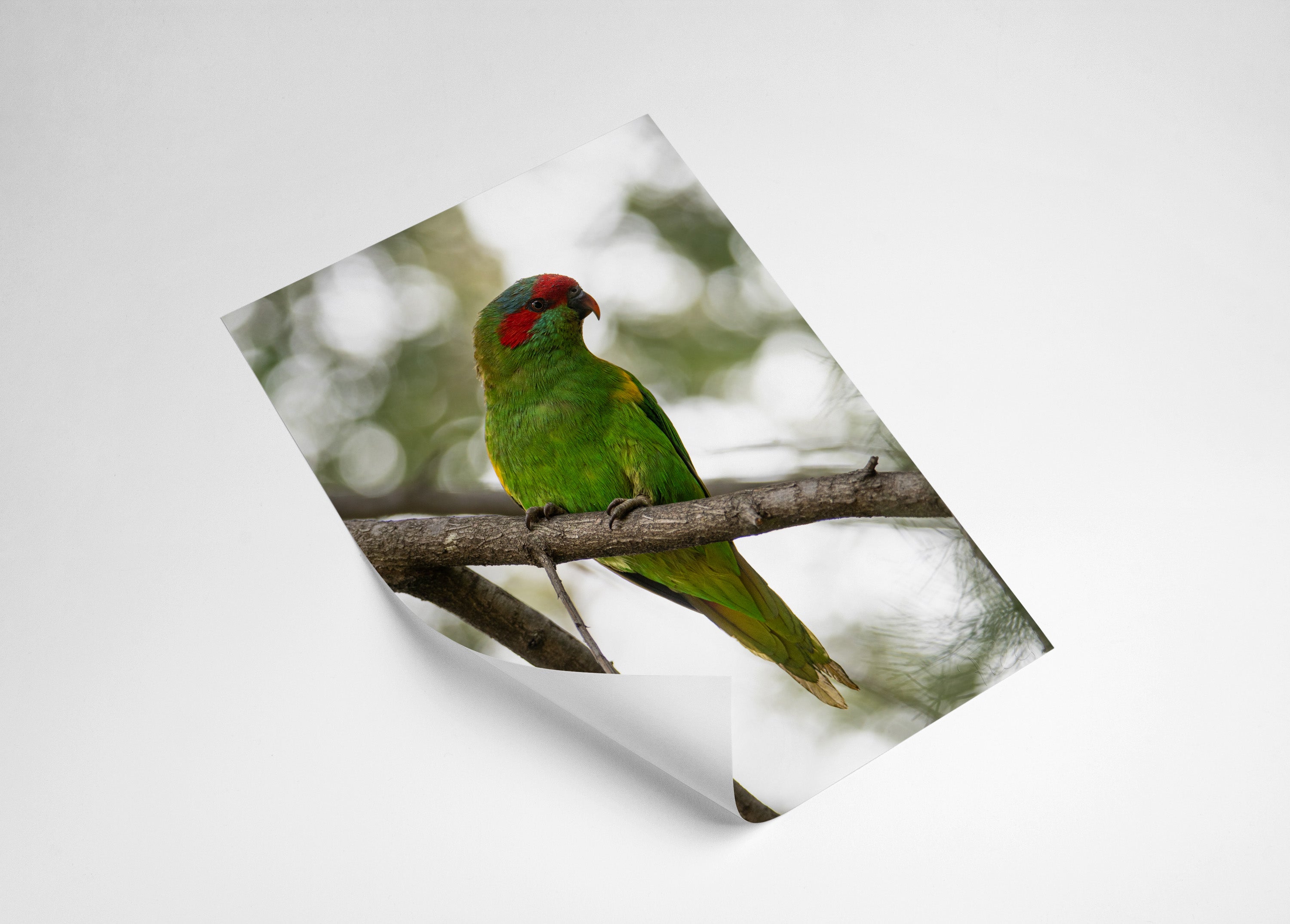 2be07c0f-0172-45dc-aa10-d049fb4bc55f