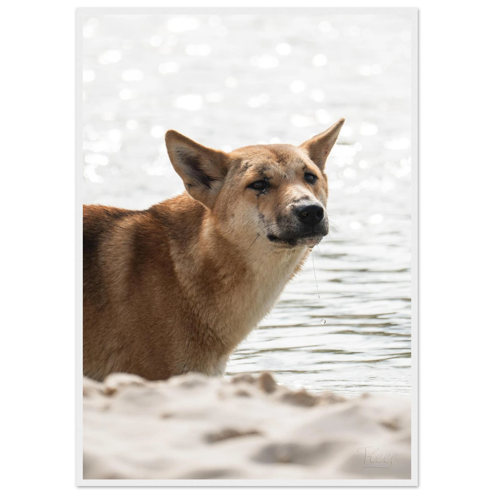 2c1a8cb9-d2b3-4b1d-91a8-3a94baf031c8