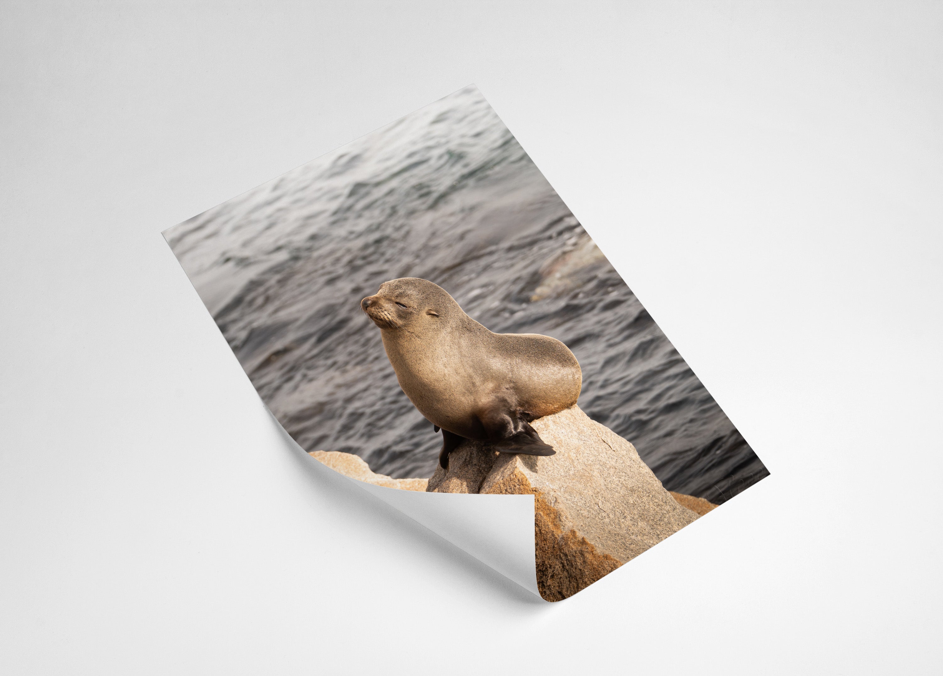 2ca03f06-3cea-4b22-b688-3b9ea7f1816c