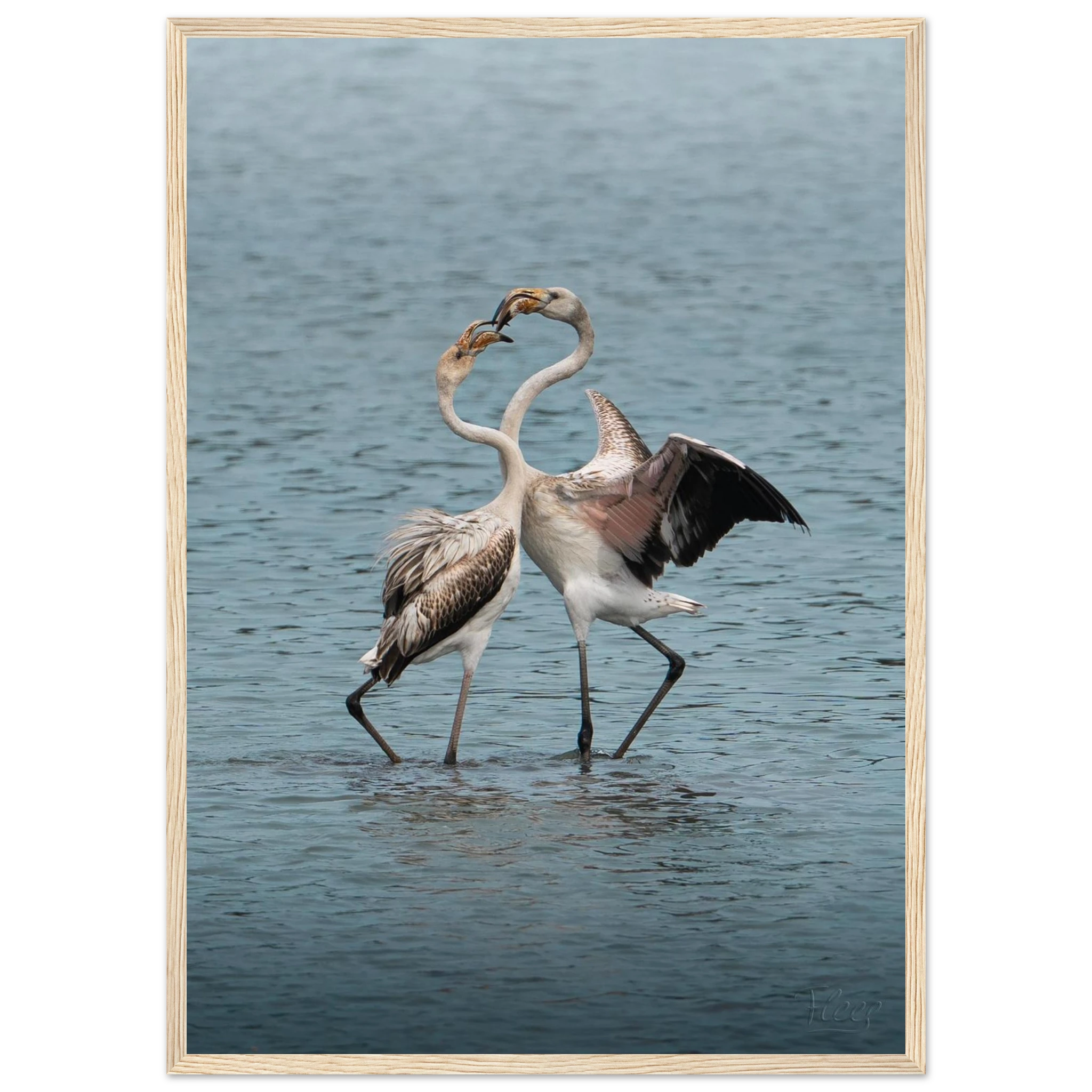 2d20033b-eacf-493e-a085-85d830debc60