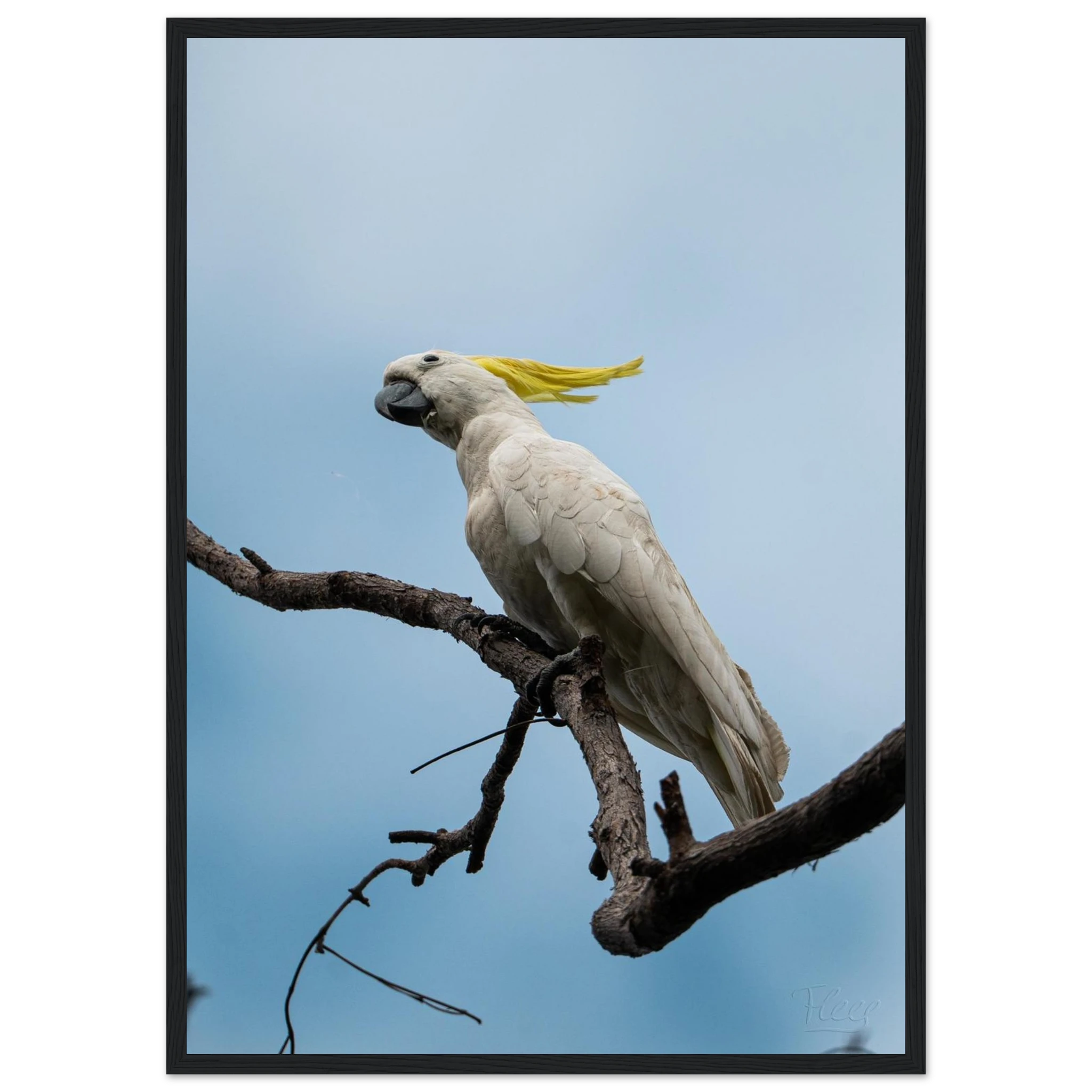 2d5b645c-c9c5-42c9-8c64-9b954f6de9fb