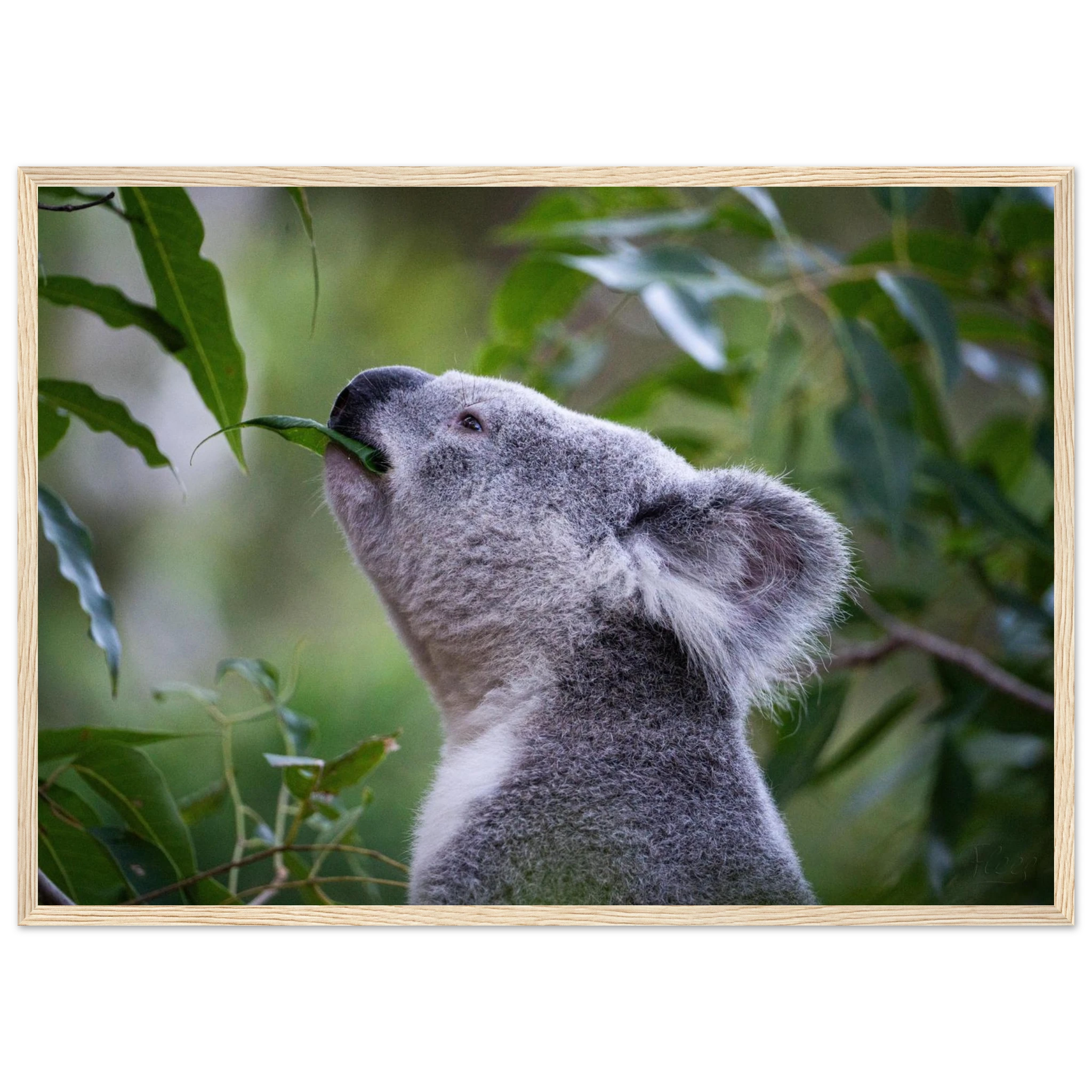 2d771083-da07-49e3-847e-bf5b4bf1510d