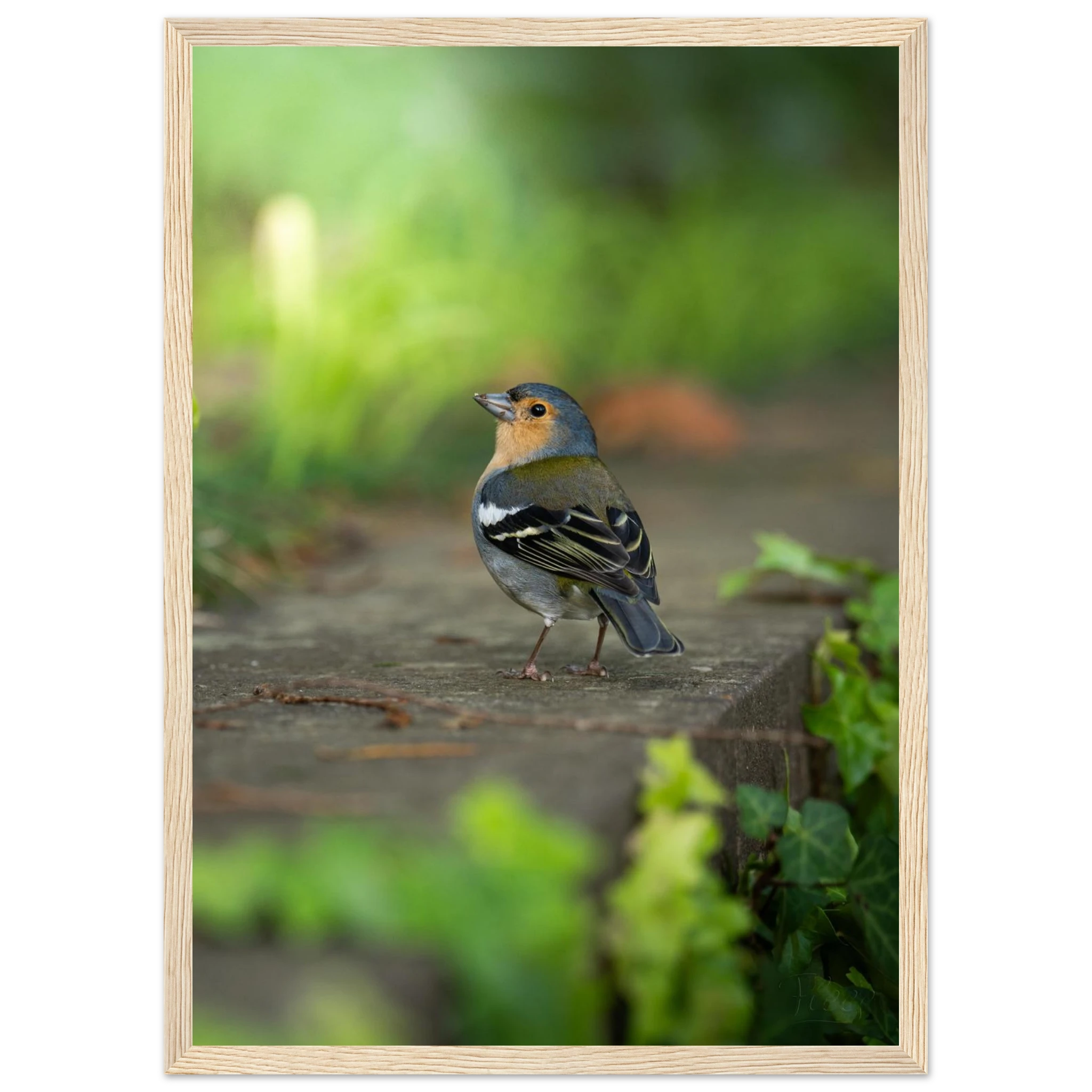 2db01a9c-1055-4ac6-8760-af5bc613e2e1