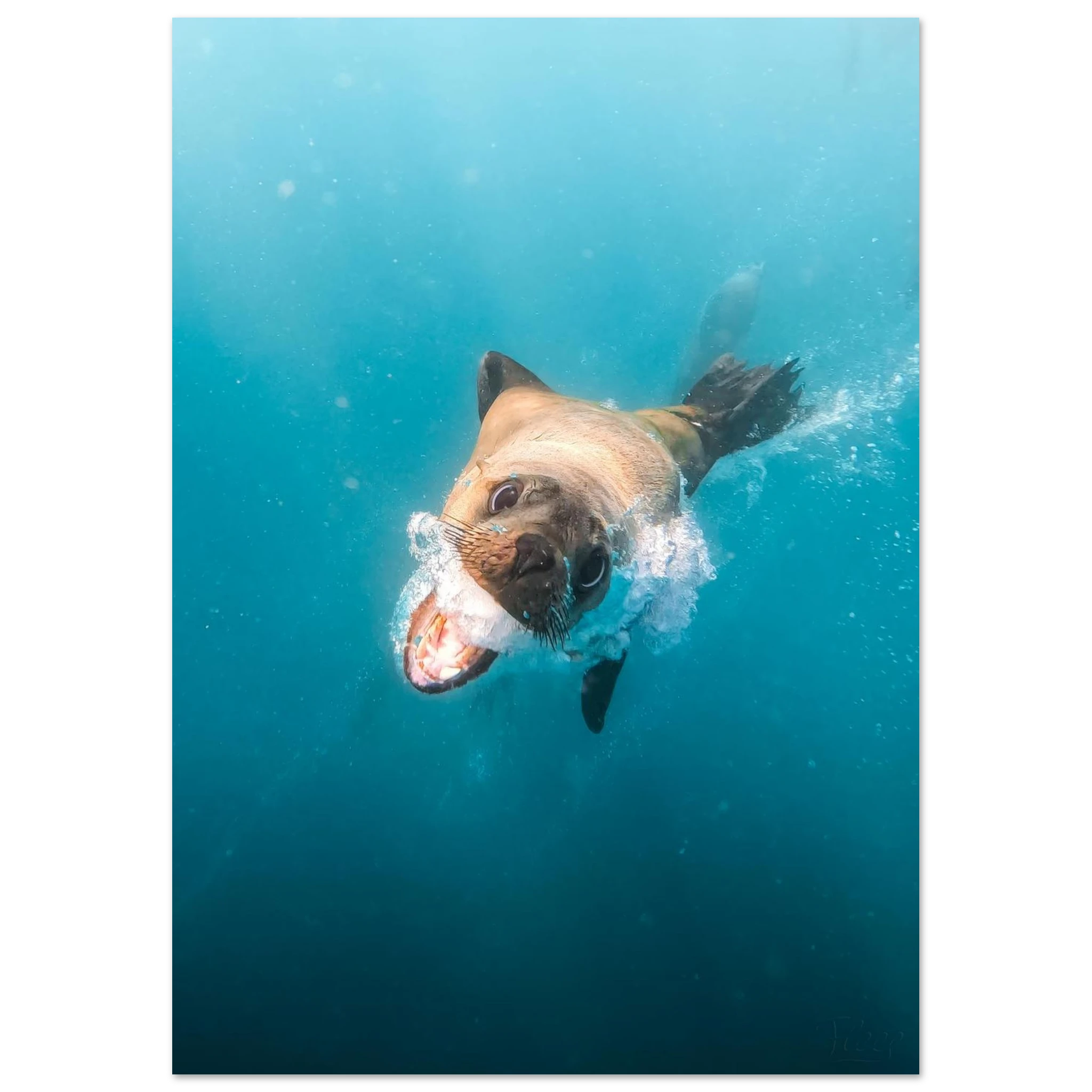 2e71125e-1e37-4257-9b1e-8748ef69b0f0