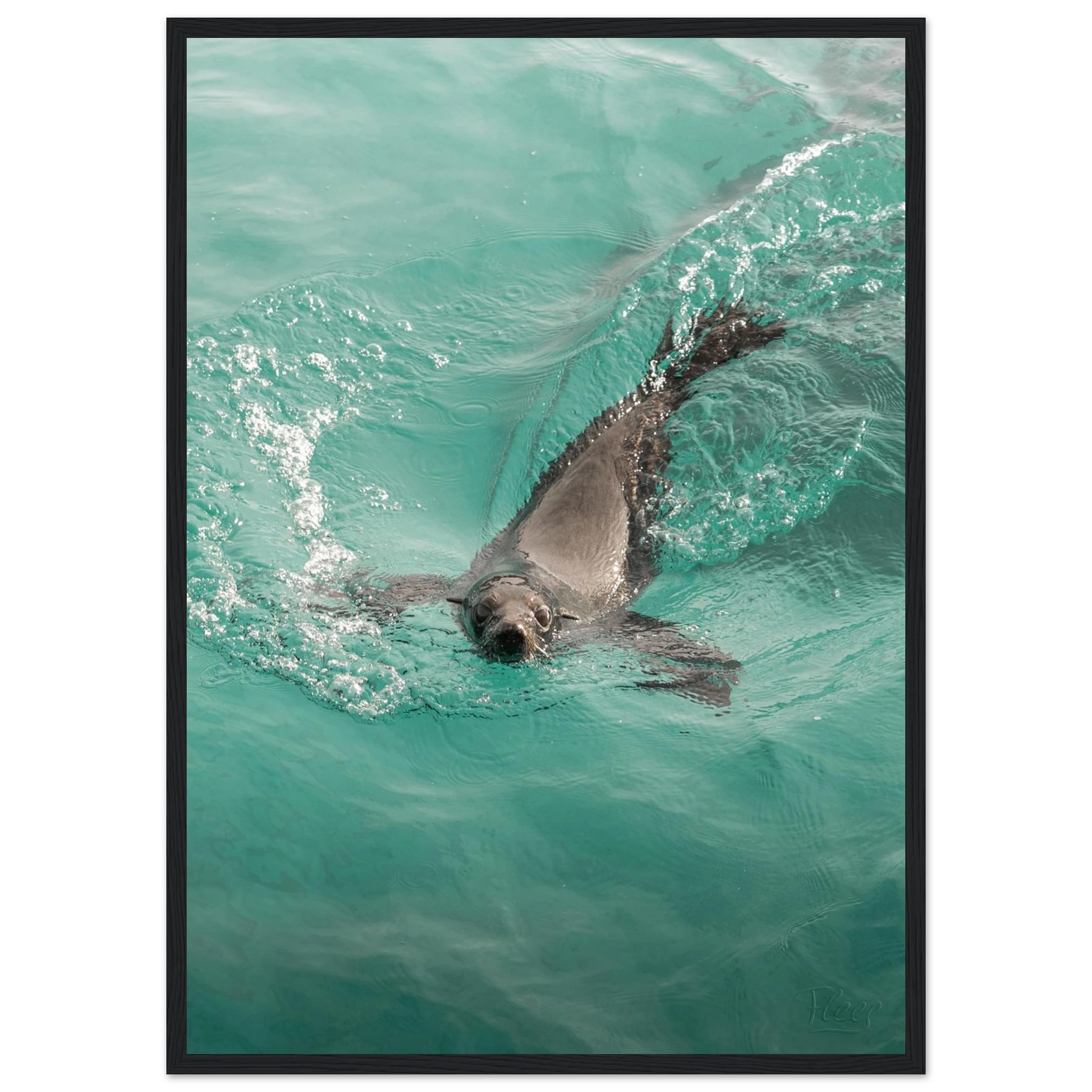 2f54cdf8-fb92-49d8-83b9-862e160a80ba