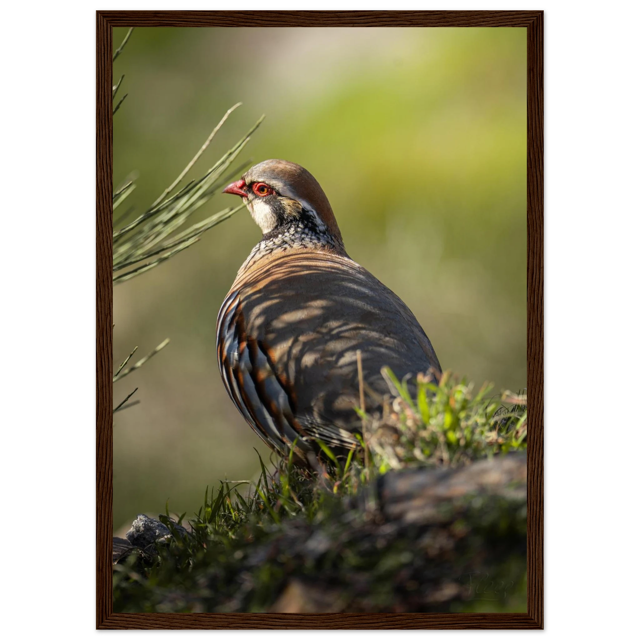 304bced9-894b-4d0f-bfa1-f5eb051eadc8