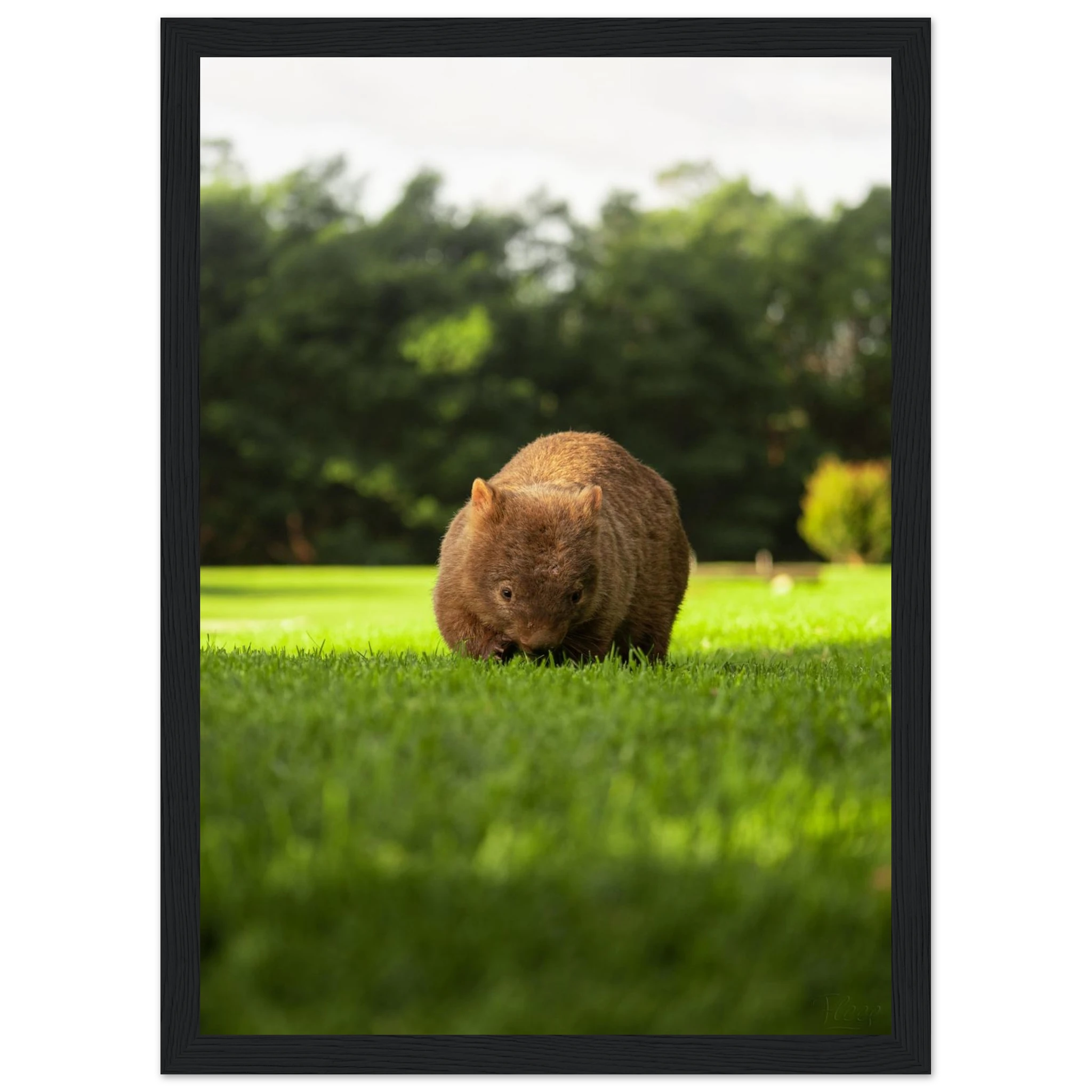 306e9012-9a02-4ae3-805e-1fd270f3cb2d