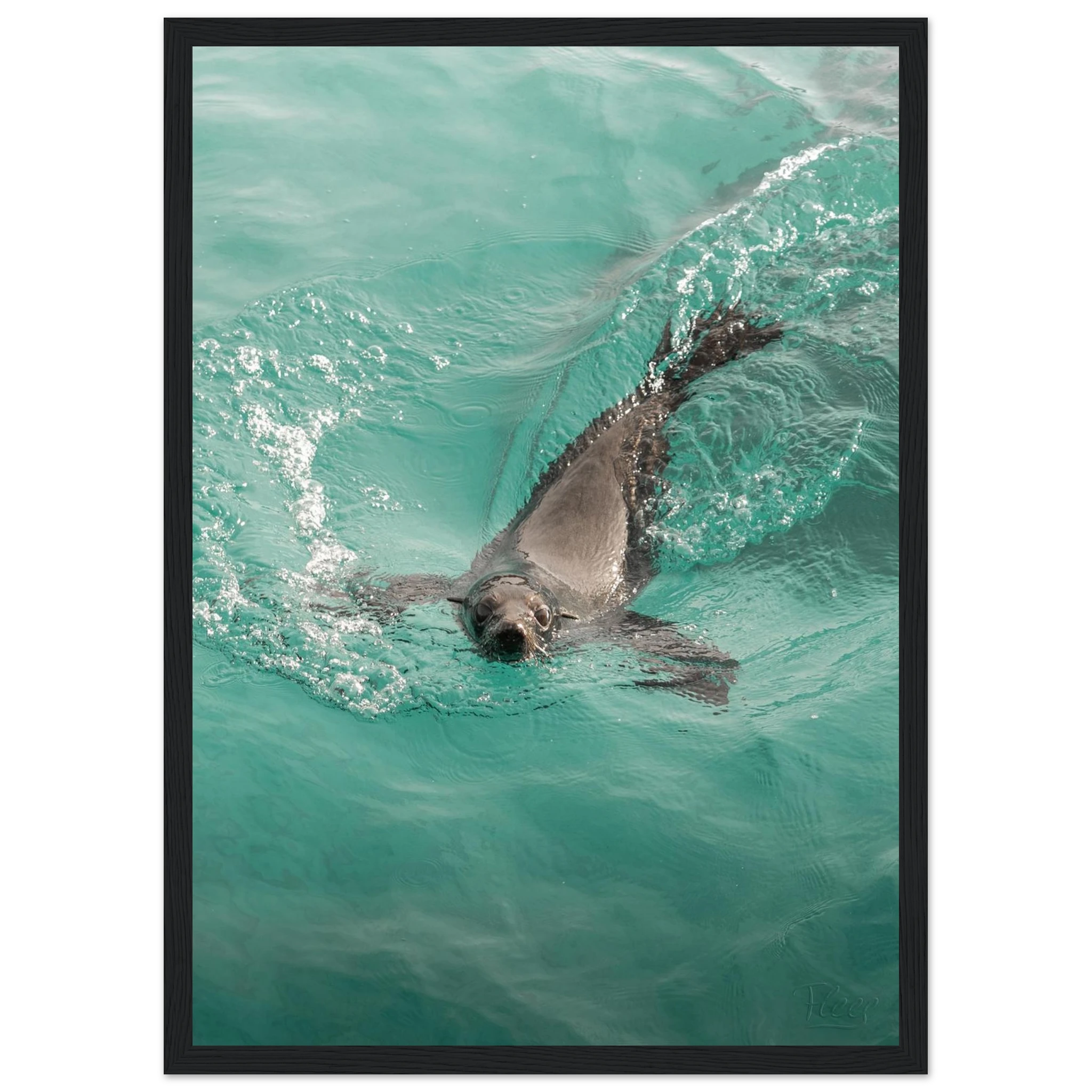 30d2c4cc-4dcc-4272-8bb9-5aa29ace2aef