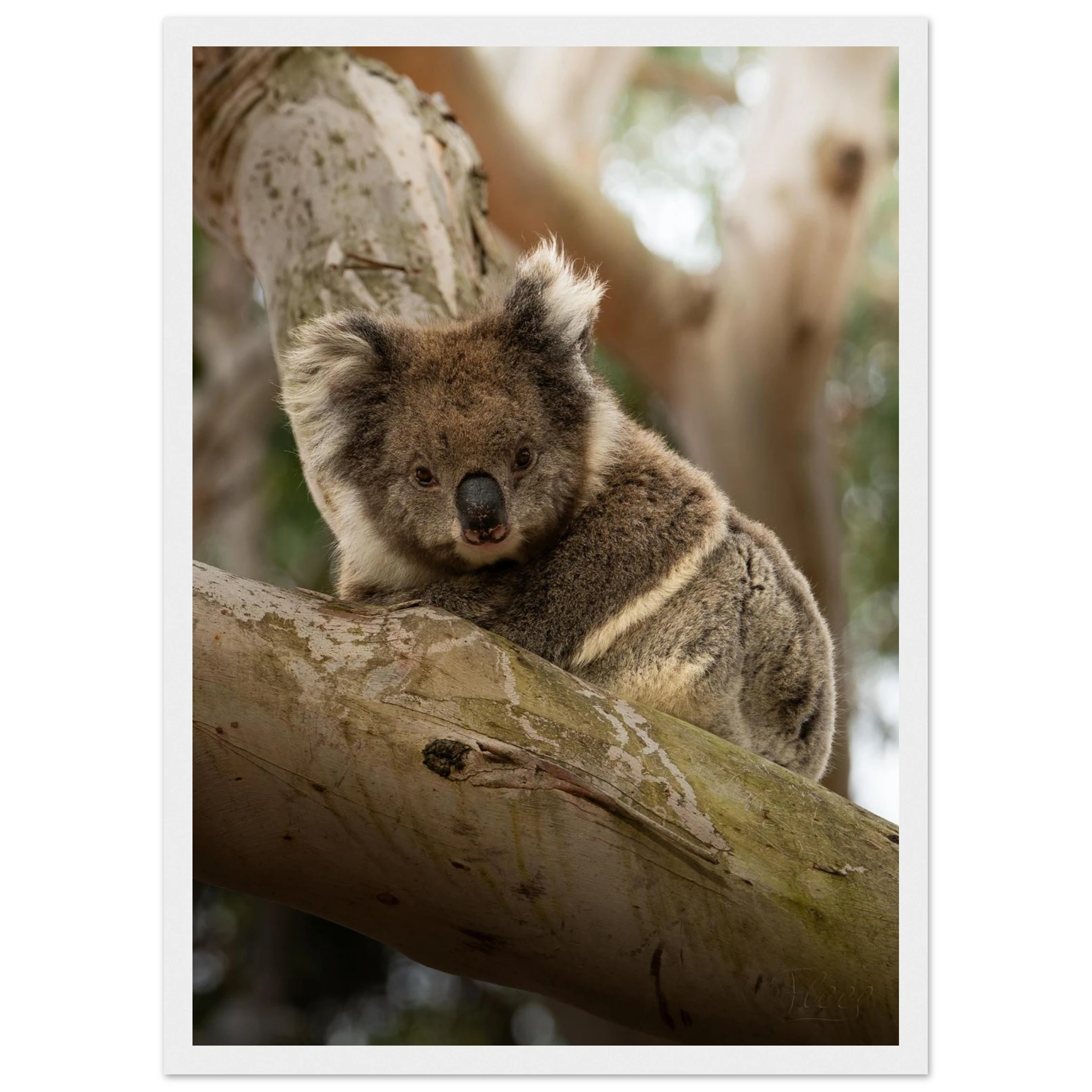 314325cb-1f99-4208-b4ac-825cca1fc6ca