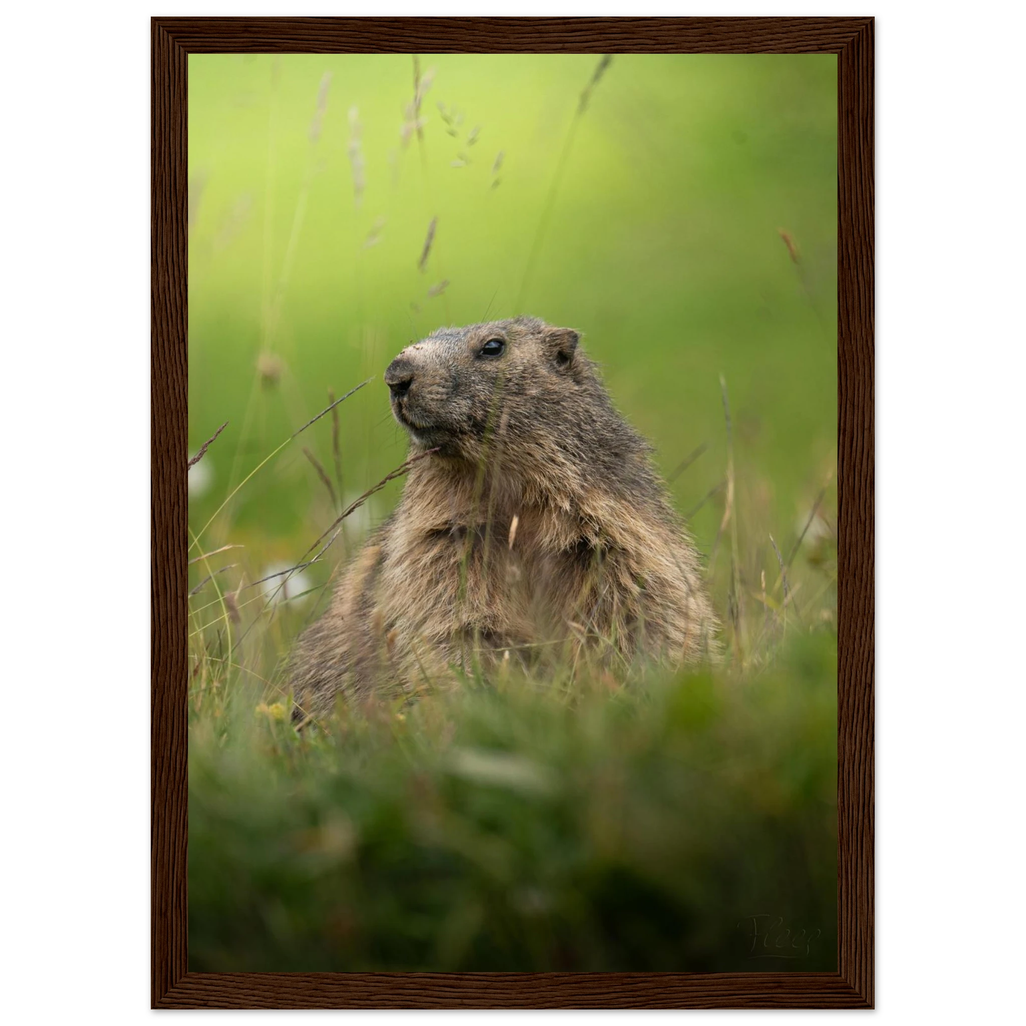 31e0e01b-4c5e-408e-a03b-bf86c97db493