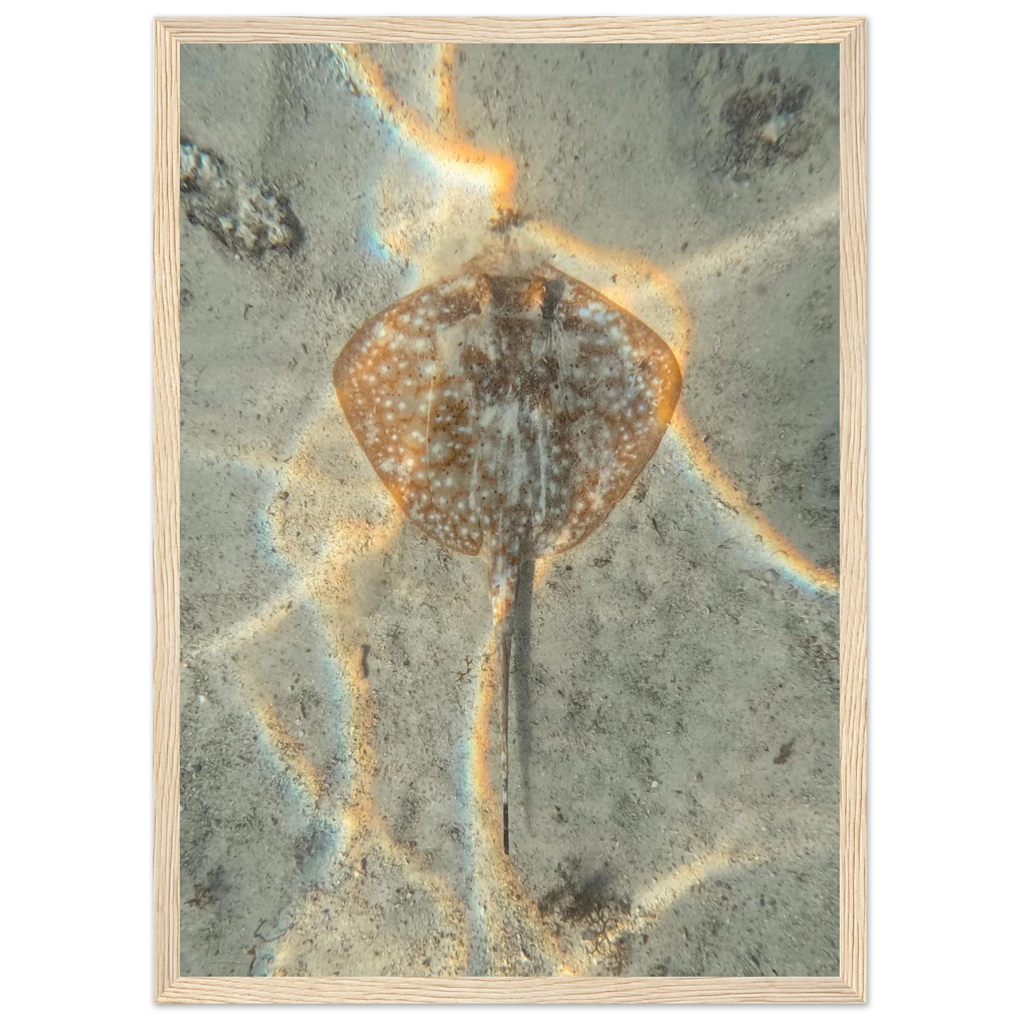 323ca963-8032-4678-a1d6-08c742775b5f