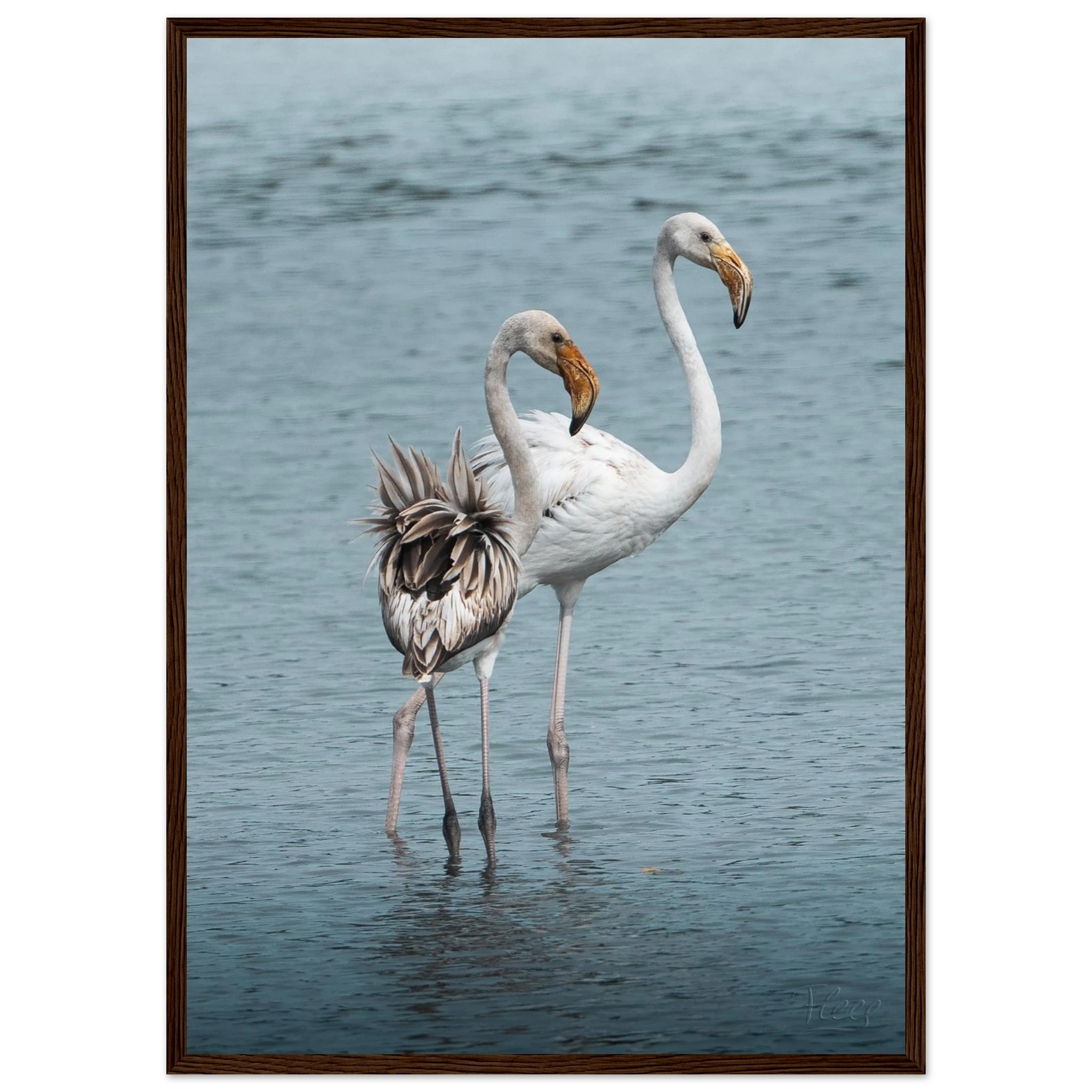 3264e200-3b6f-4ae5-8518-aeaa524f6441