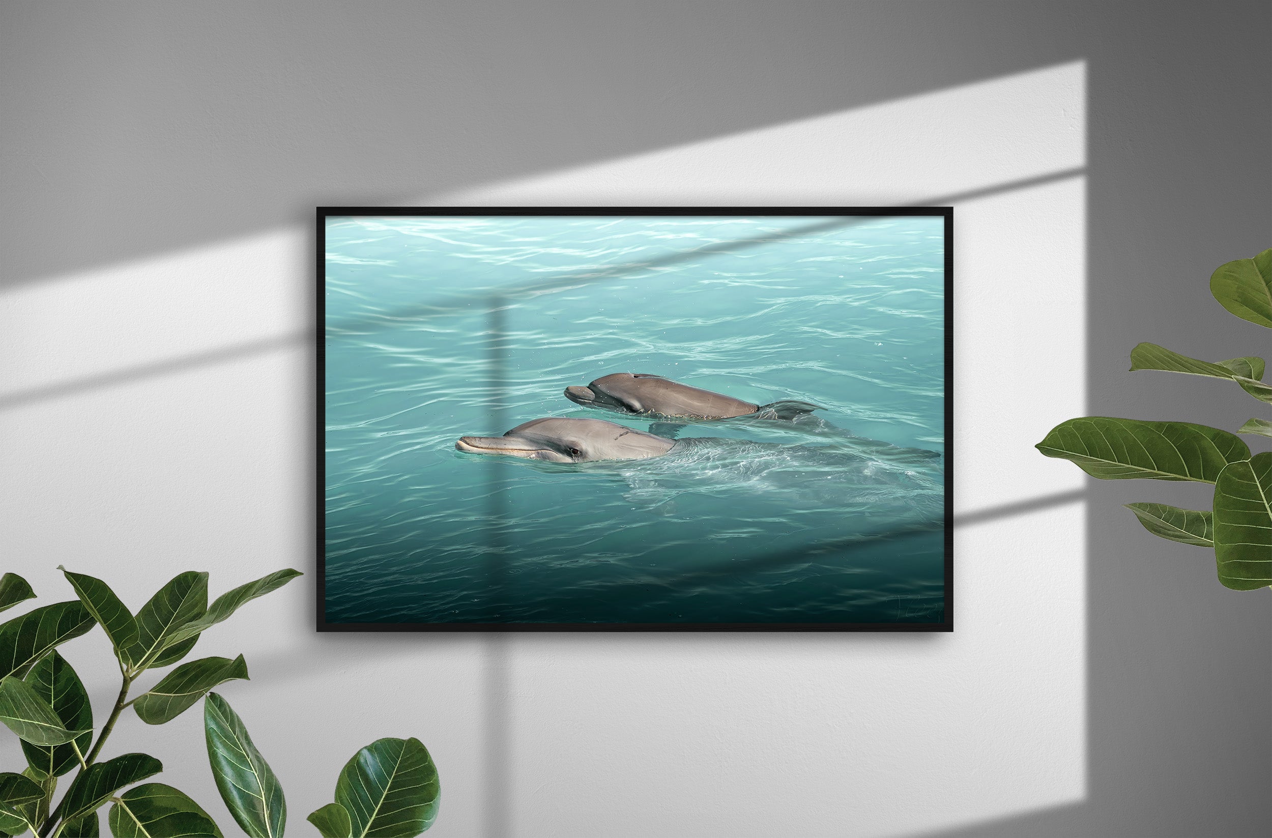 32e1ceb9-031d-4078-883f-1008222bb876