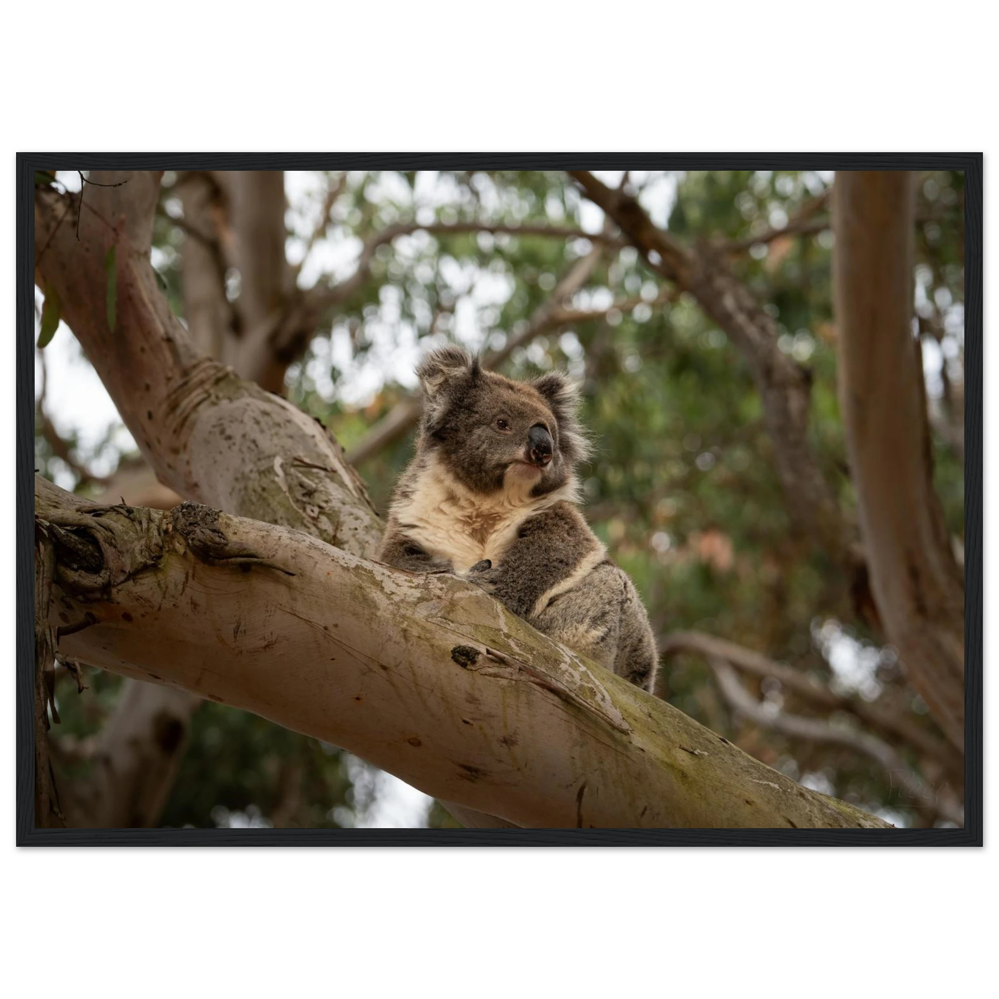 3327e75b-7ea2-4a19-8f5a-237a229bacd7