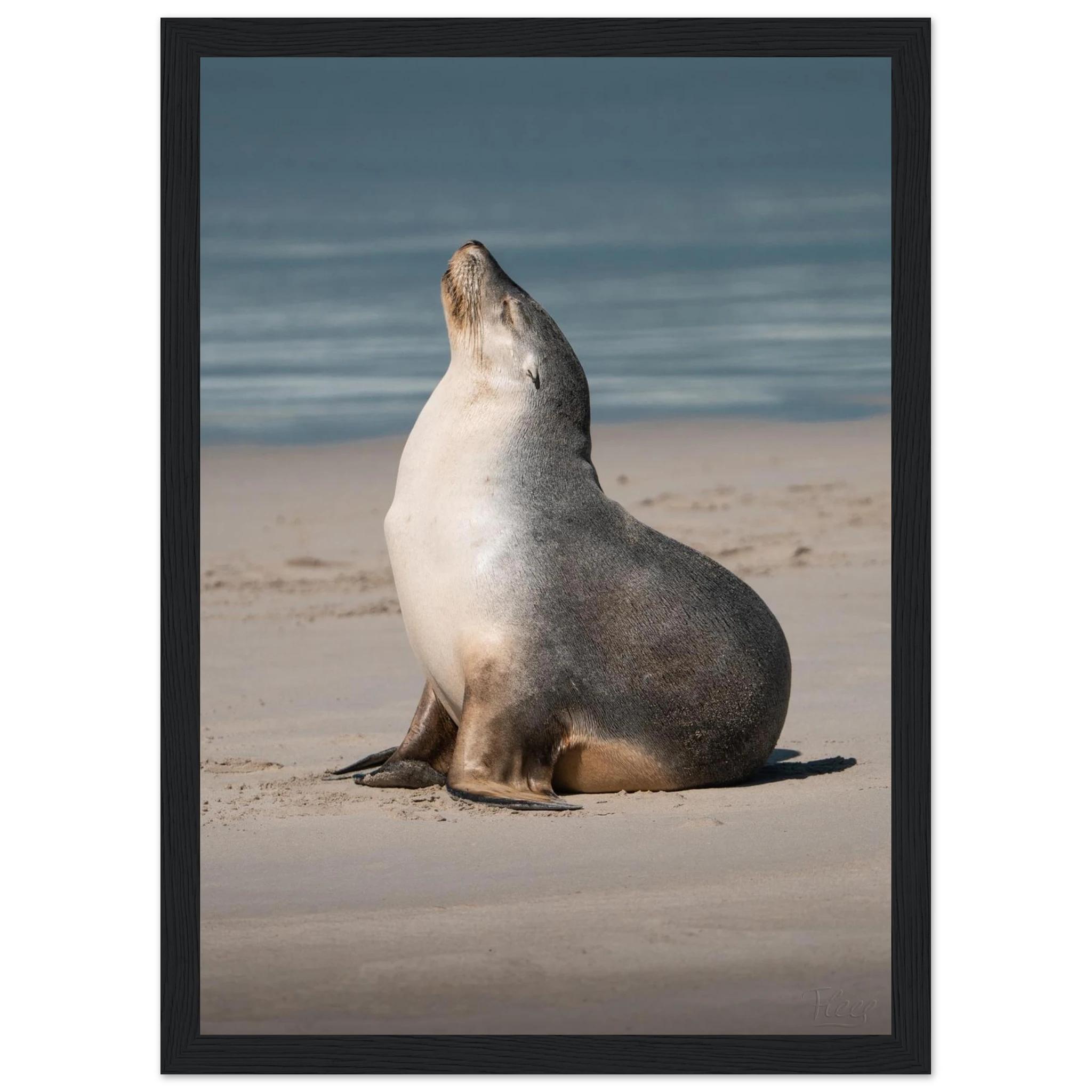 33444a8b-376c-4517-b9b3-80314500bde6