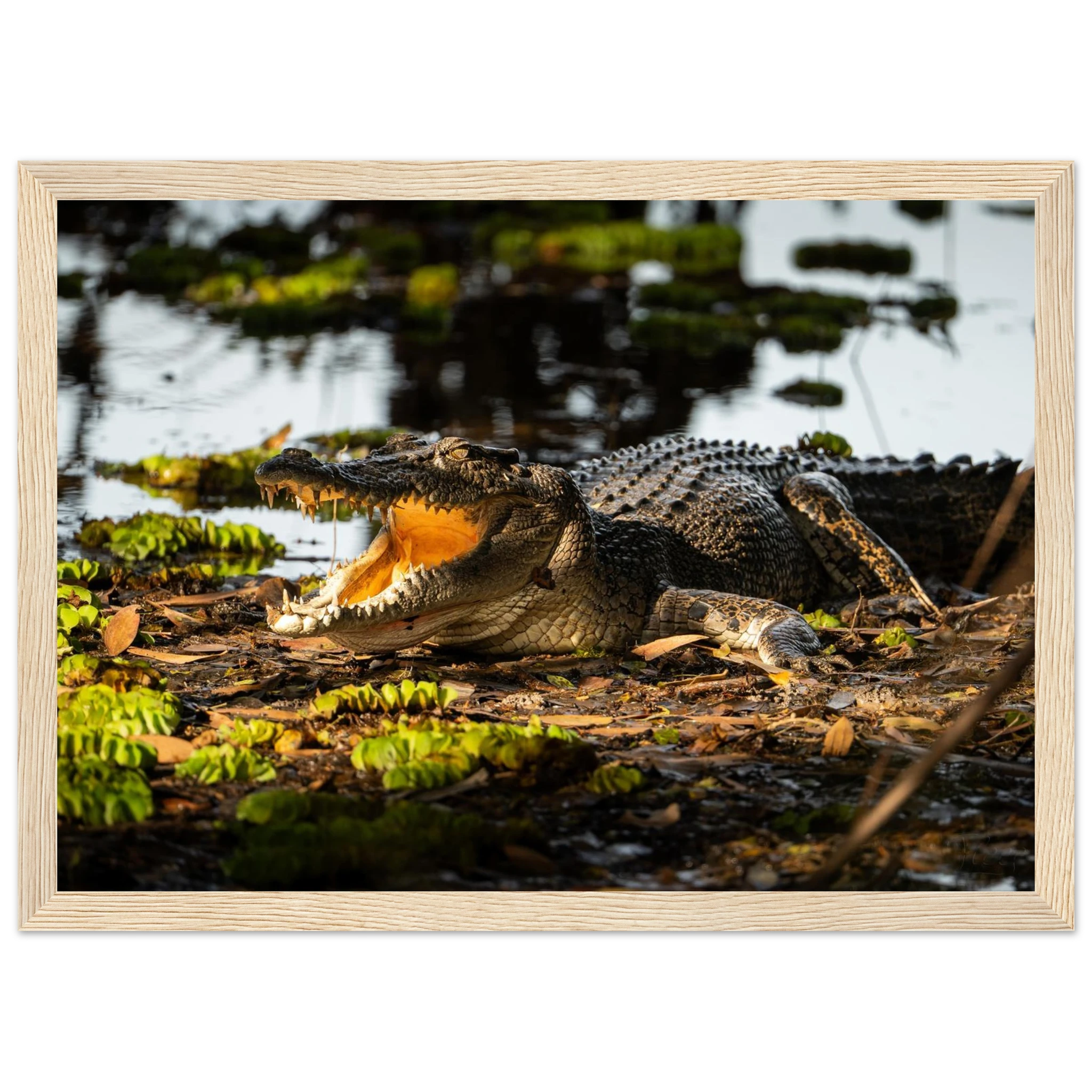 339d19a6-7275-4bd7-904e-e6d2e9b4df56