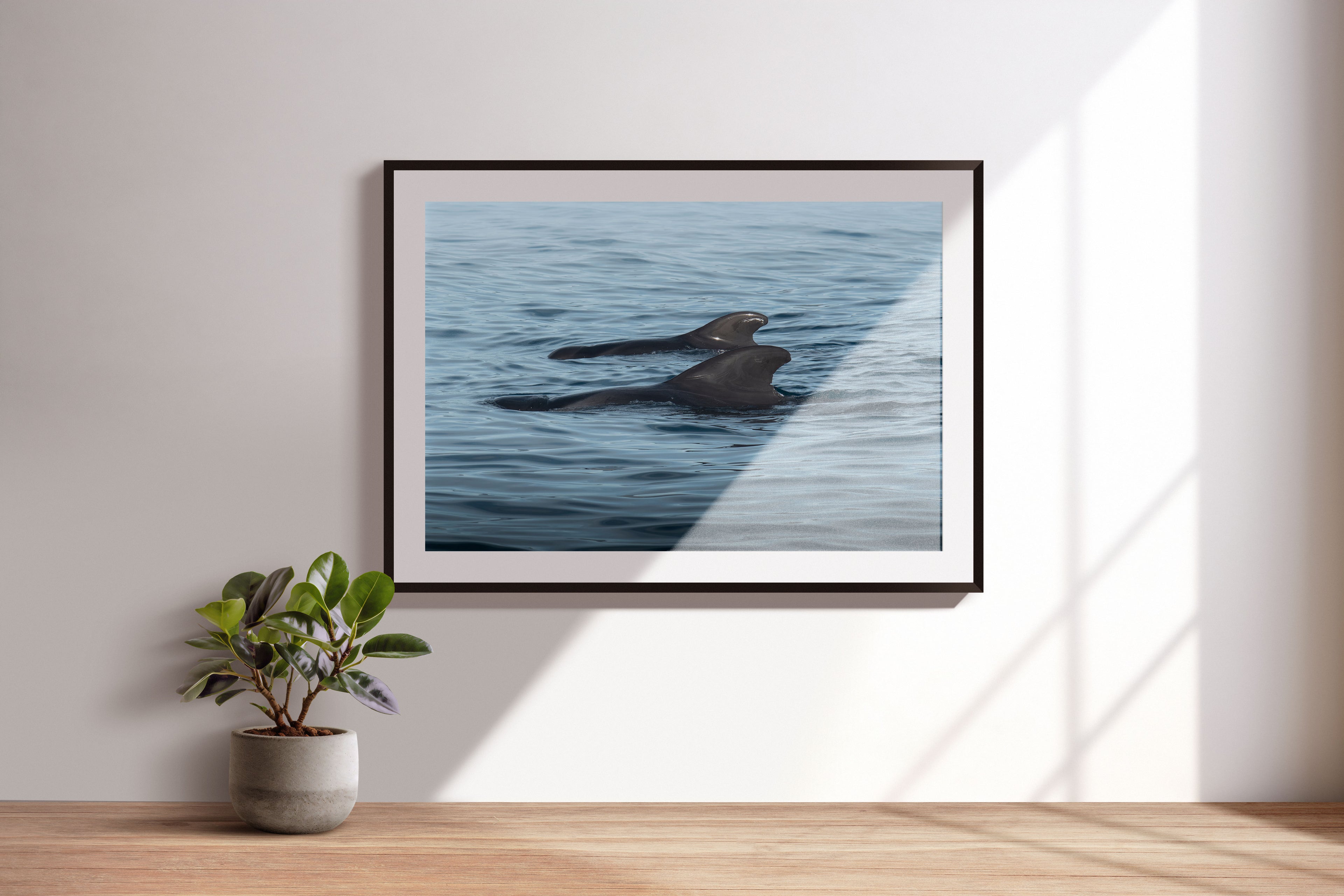 346835a4-adce-46bd-b412-3444f5824cb3