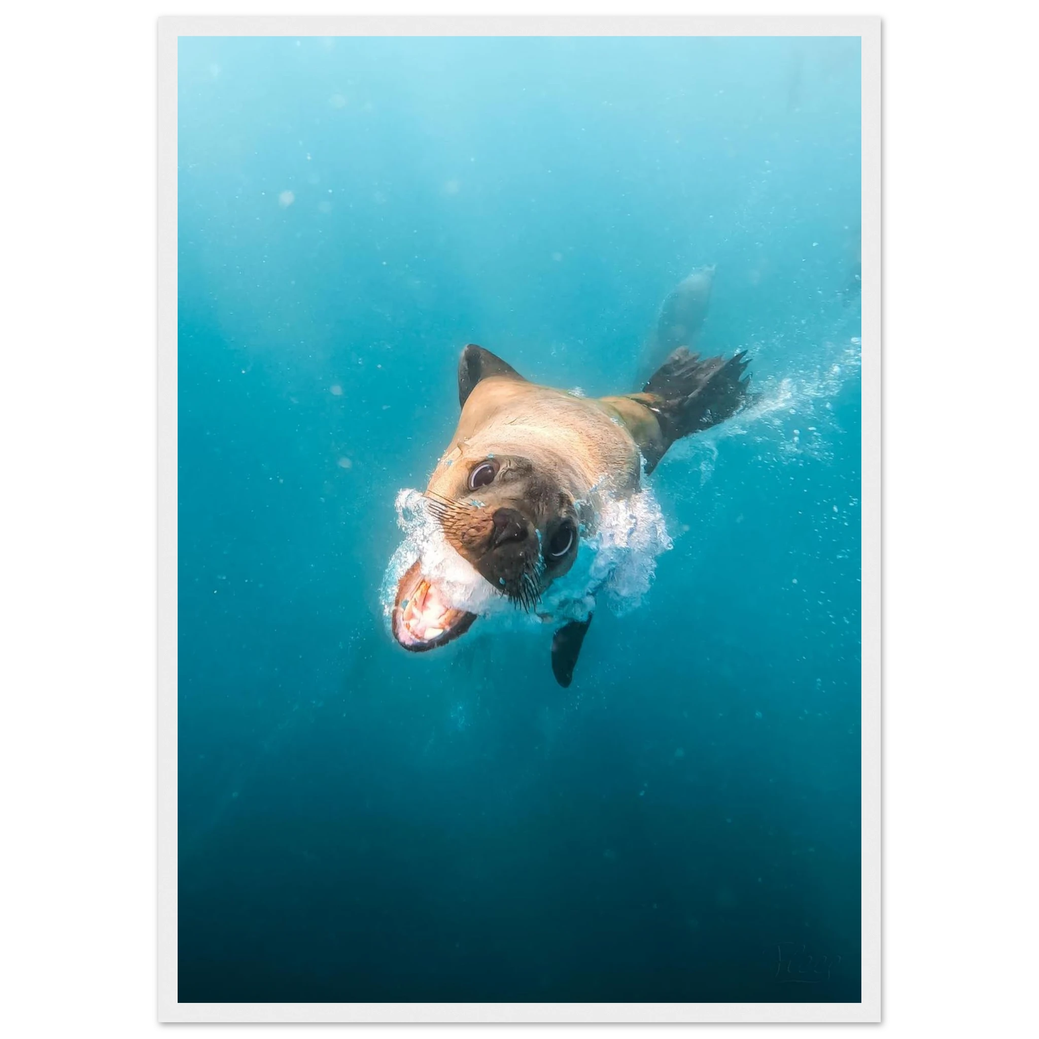 350ee9e5-5f9c-48be-a345-65b0607d3f22