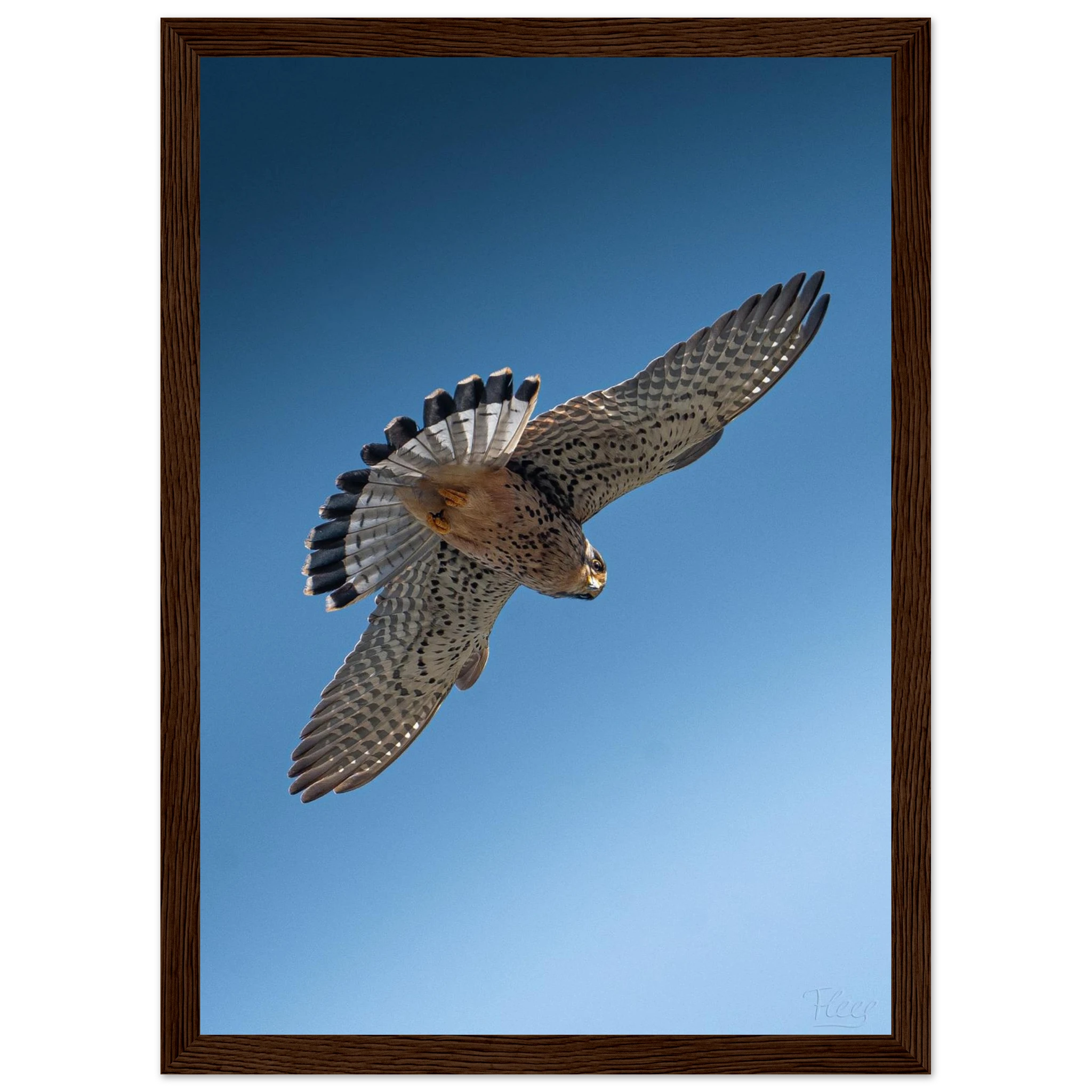 3578c86d-662a-4582-afbe-3d5fd1a65721