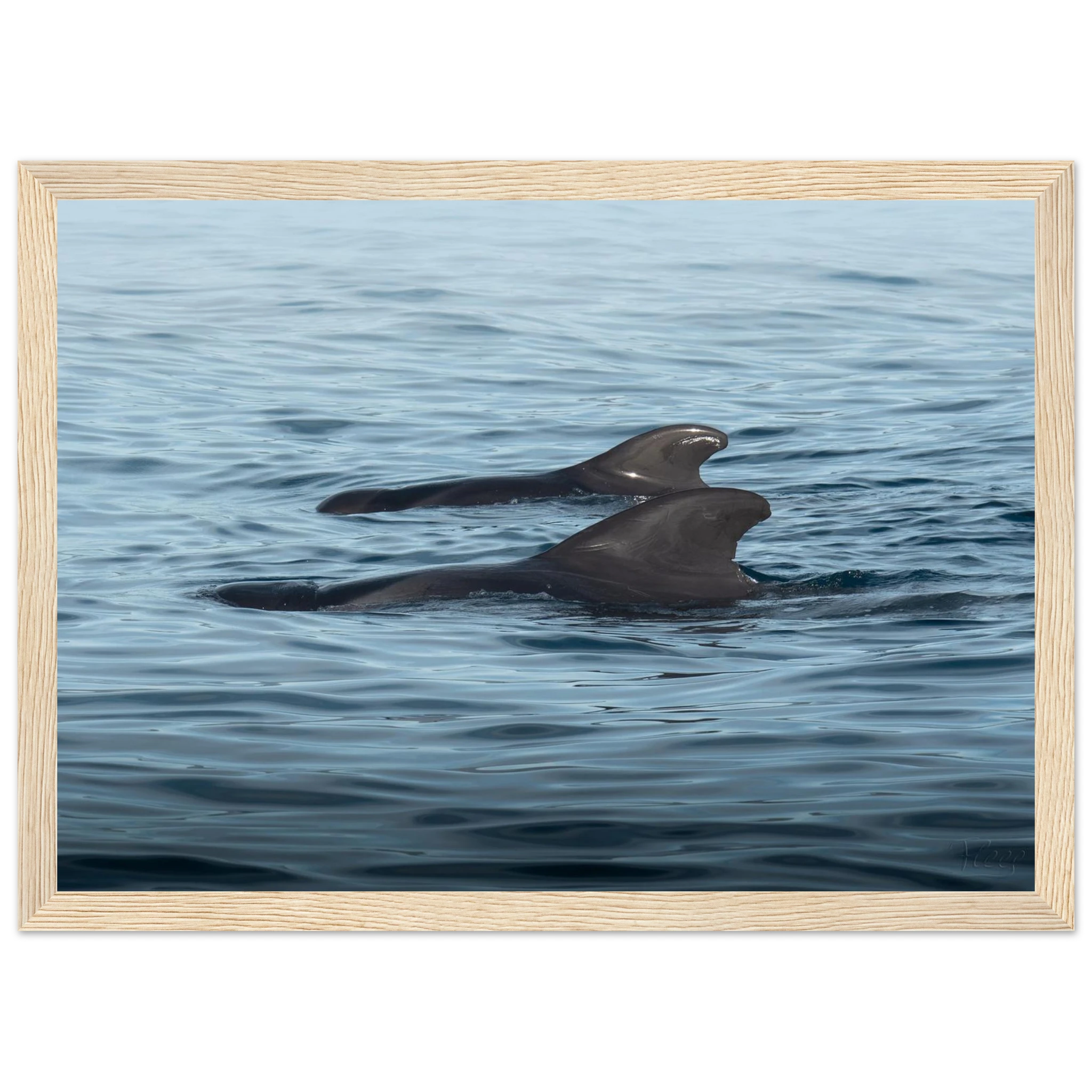 35b25f09-01d9-4e73-a222-6850d383bf18