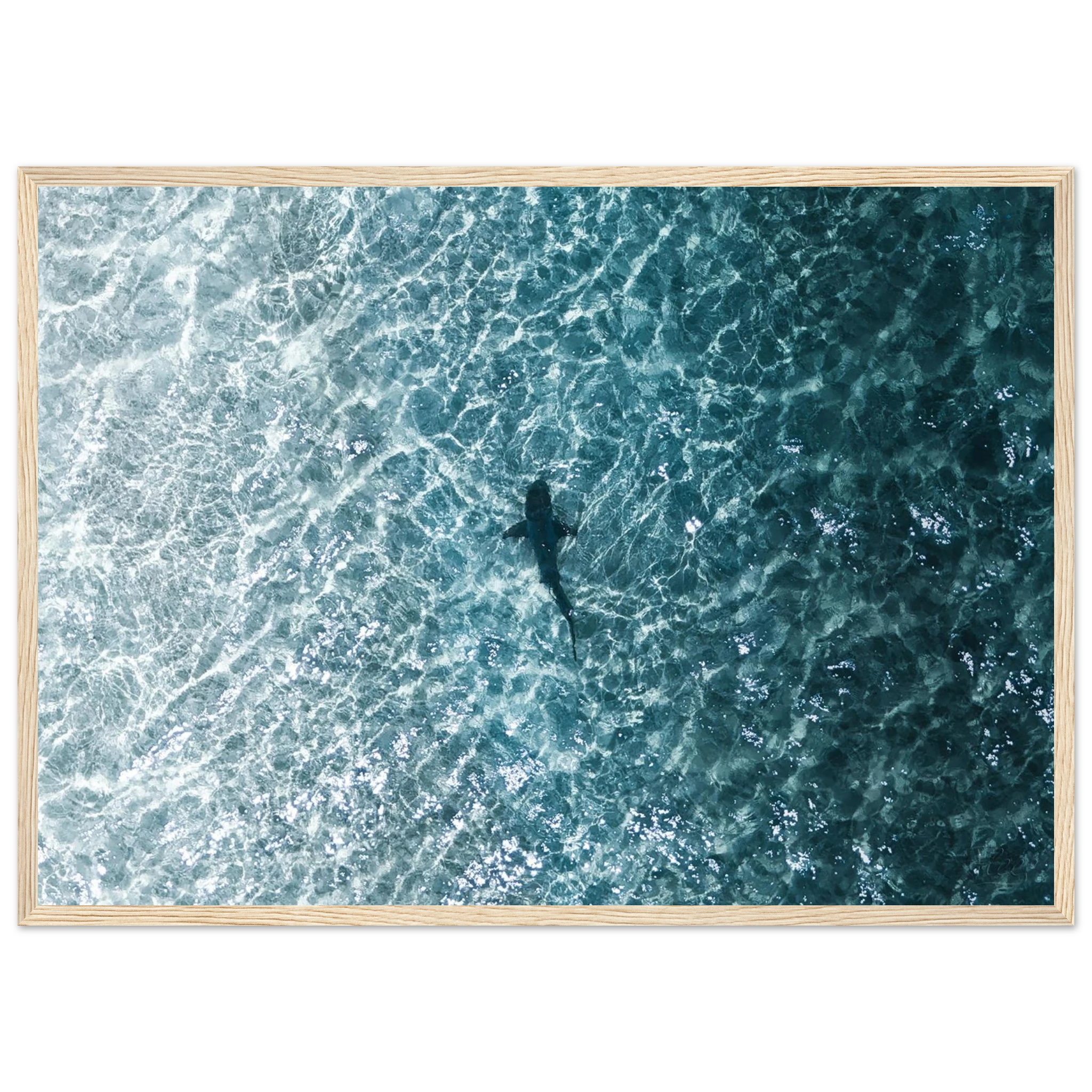 35bd272b-5b1e-4487-bec0-4e3b0b940886