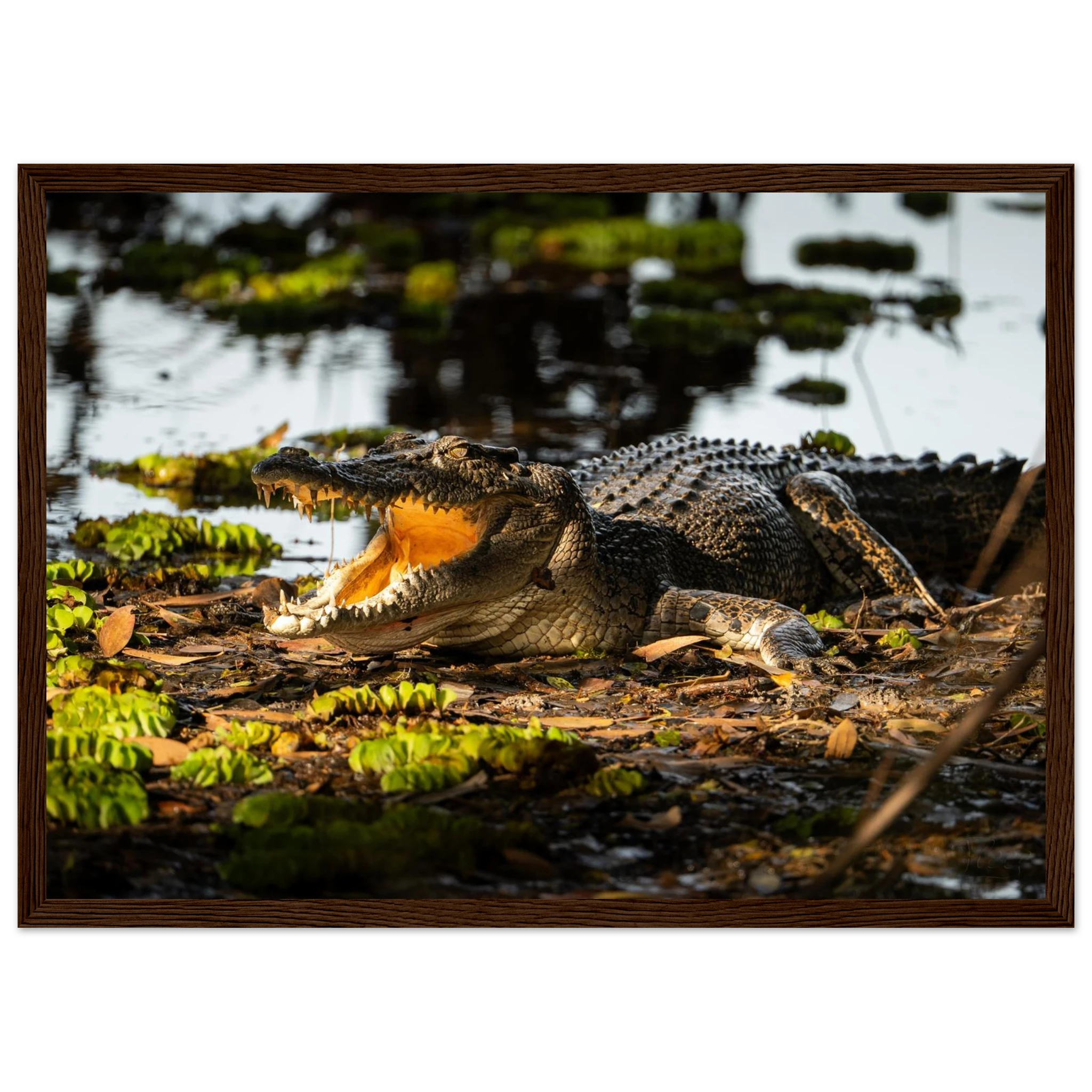 36613d9e-d5a8-47e5-a29d-34de58e310c7