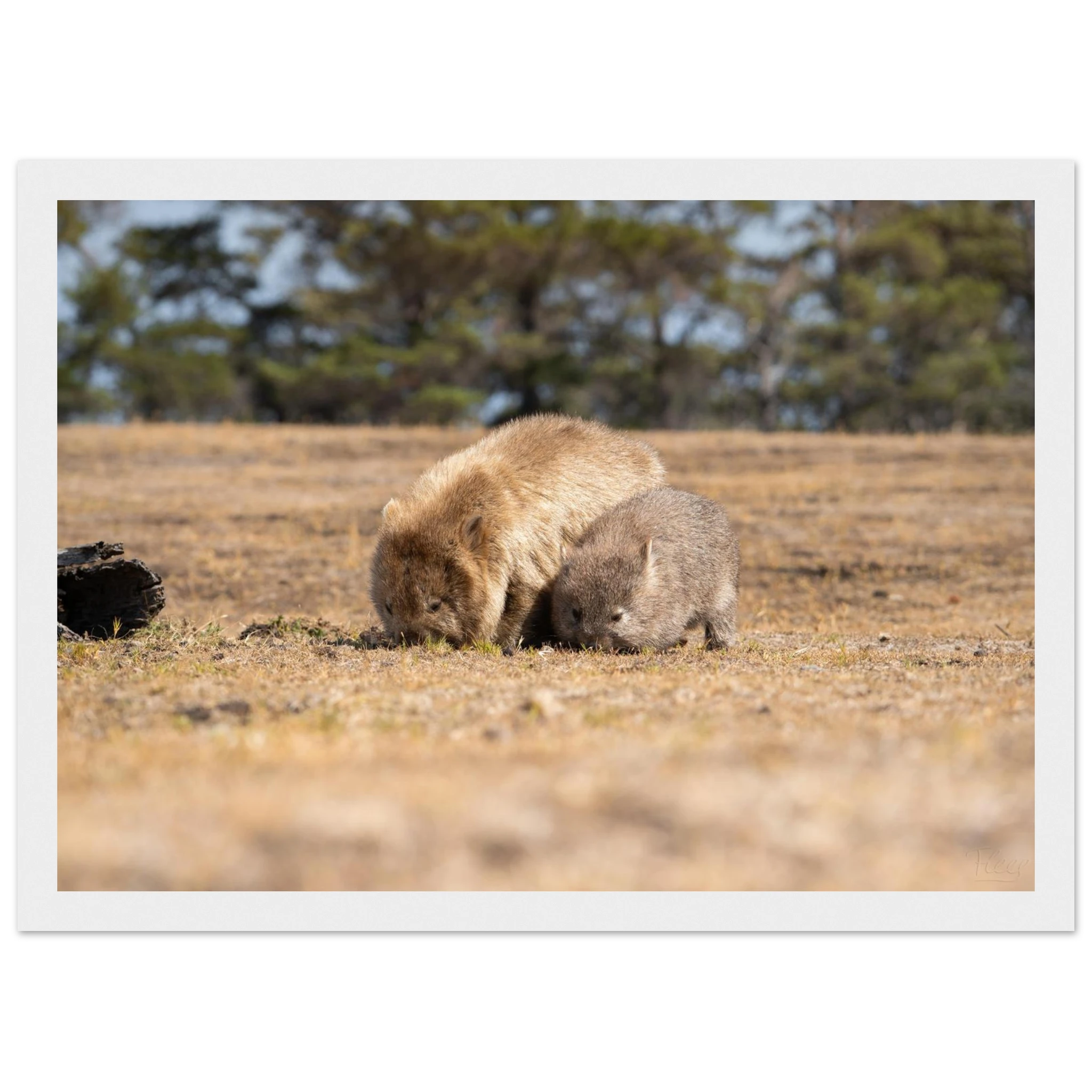 36cf537d-3190-4712-b6e3-d9d2bf5438f0