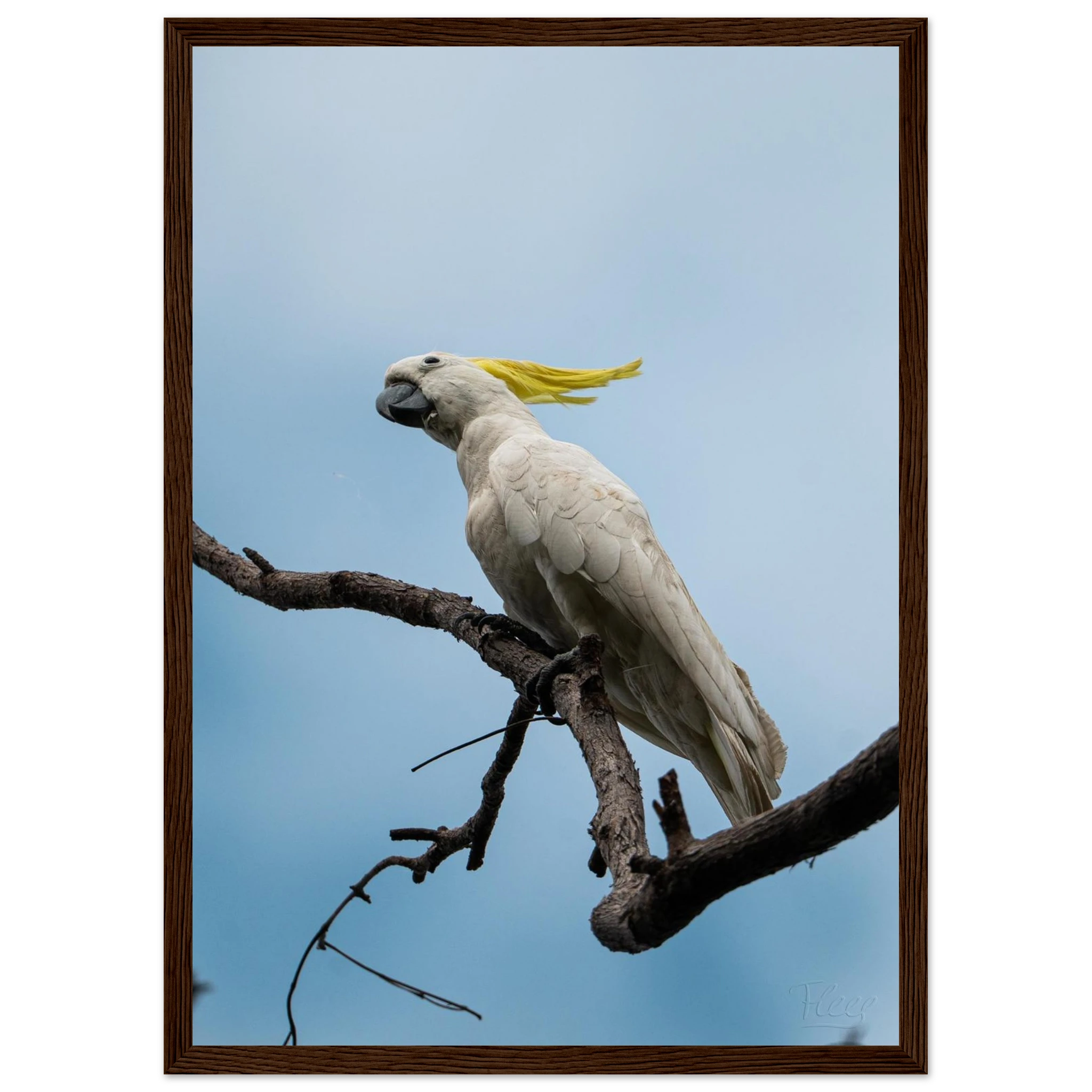 36dac590-d4f8-45c9-a799-f4dca426af17