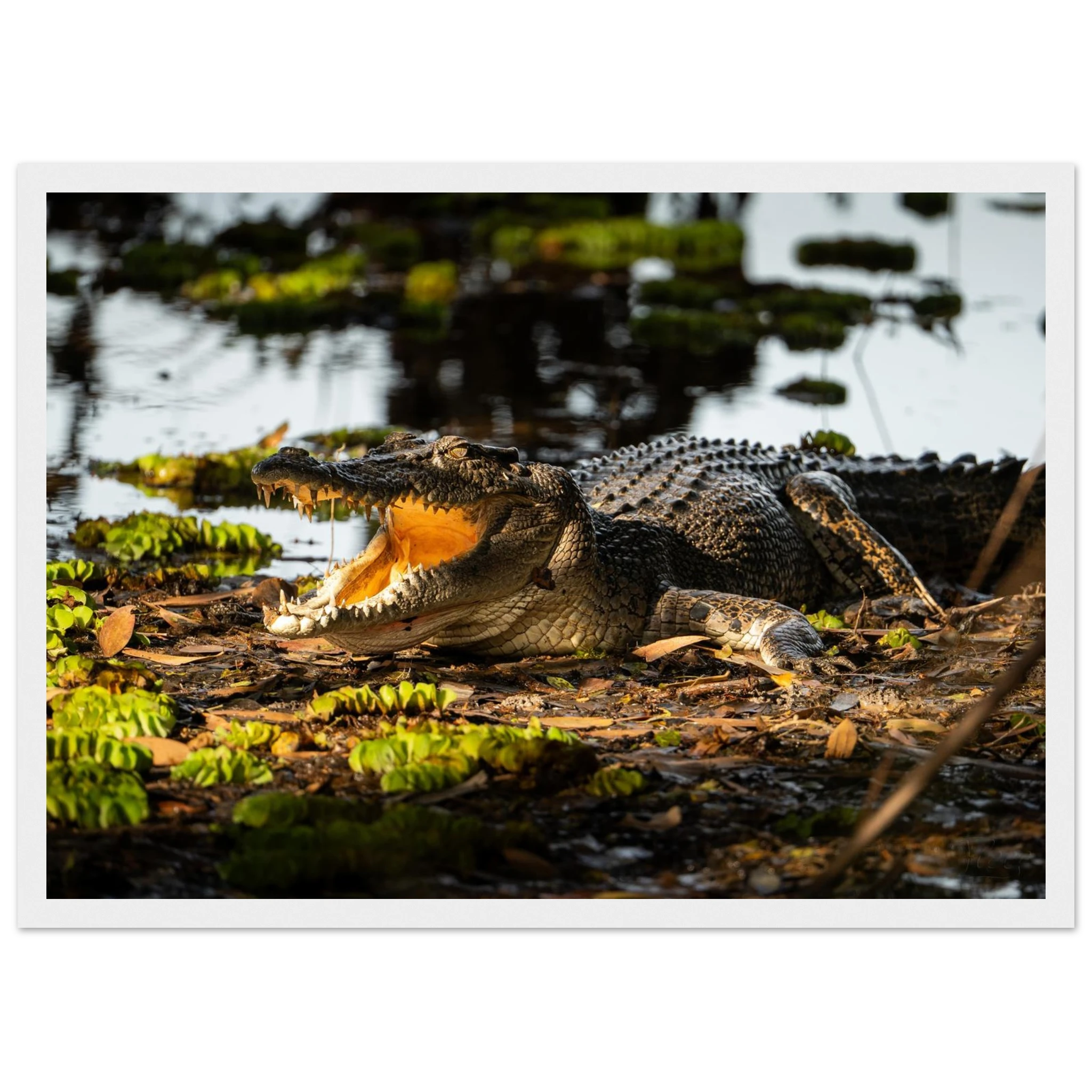 3737ede8-7b95-44f9-9d2a-7bb4f185a704