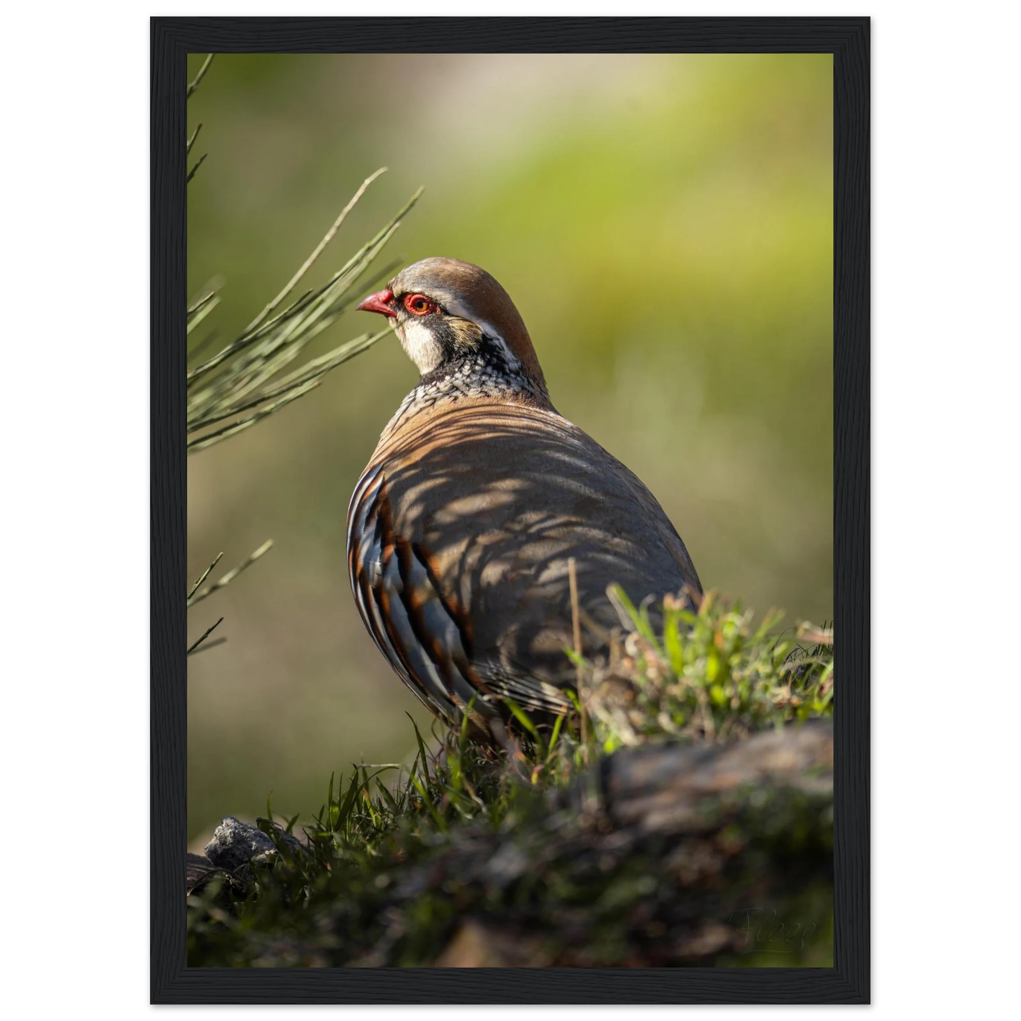 37aa40fc-b629-4dd9-af41-c0233f98bd48