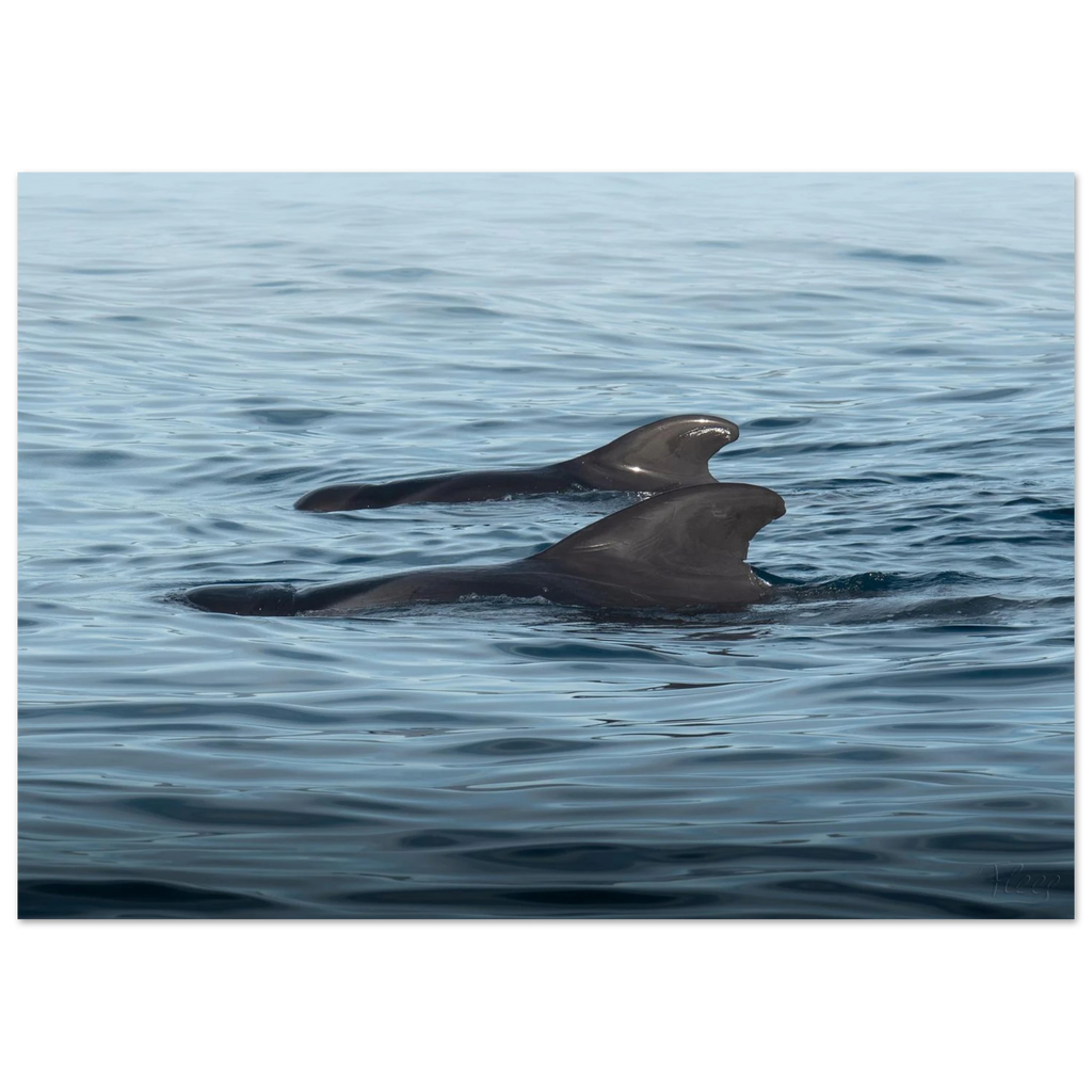 37f1f4bf-1971-4720-b3ec-e9775f768f38